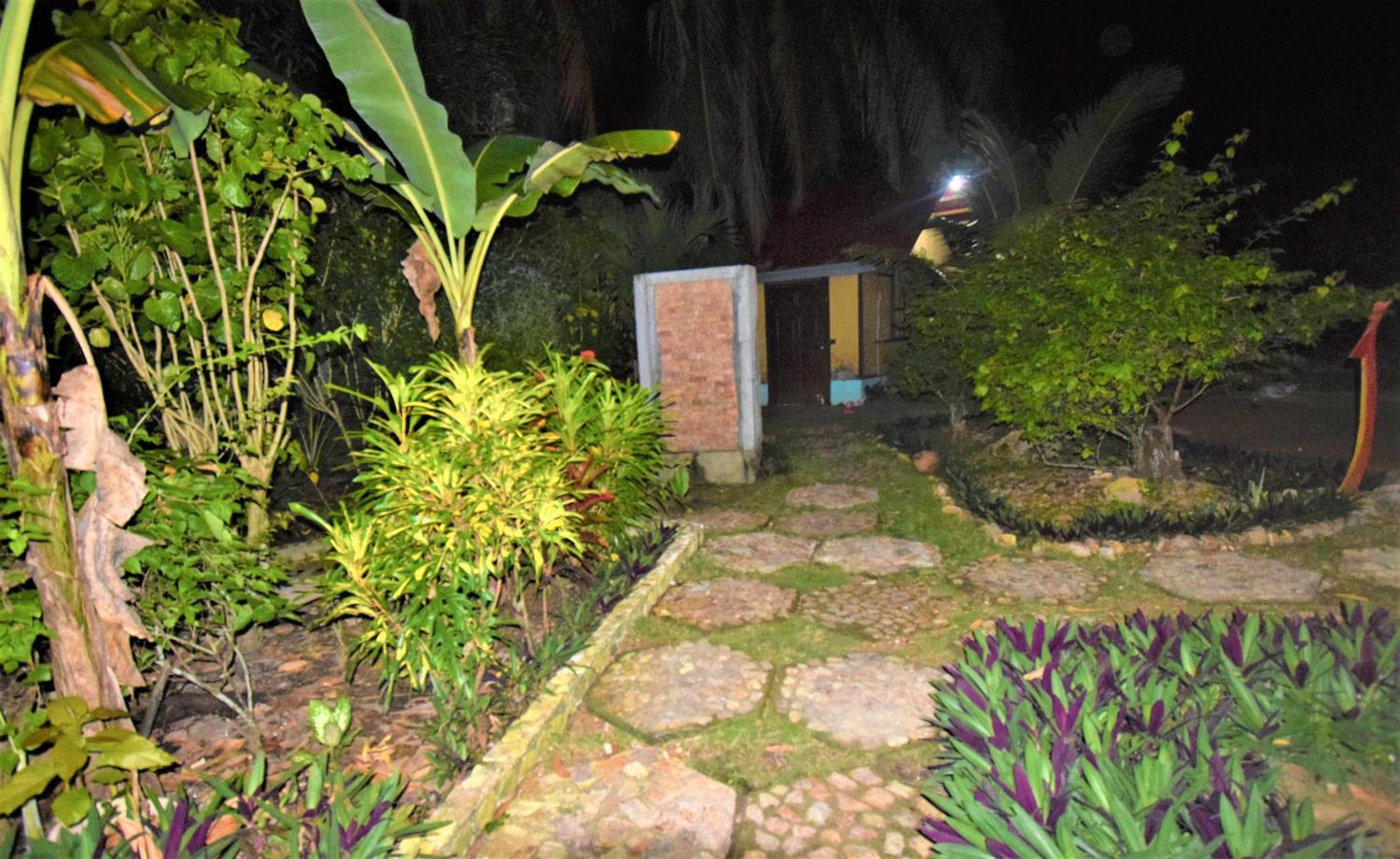 Photo 21