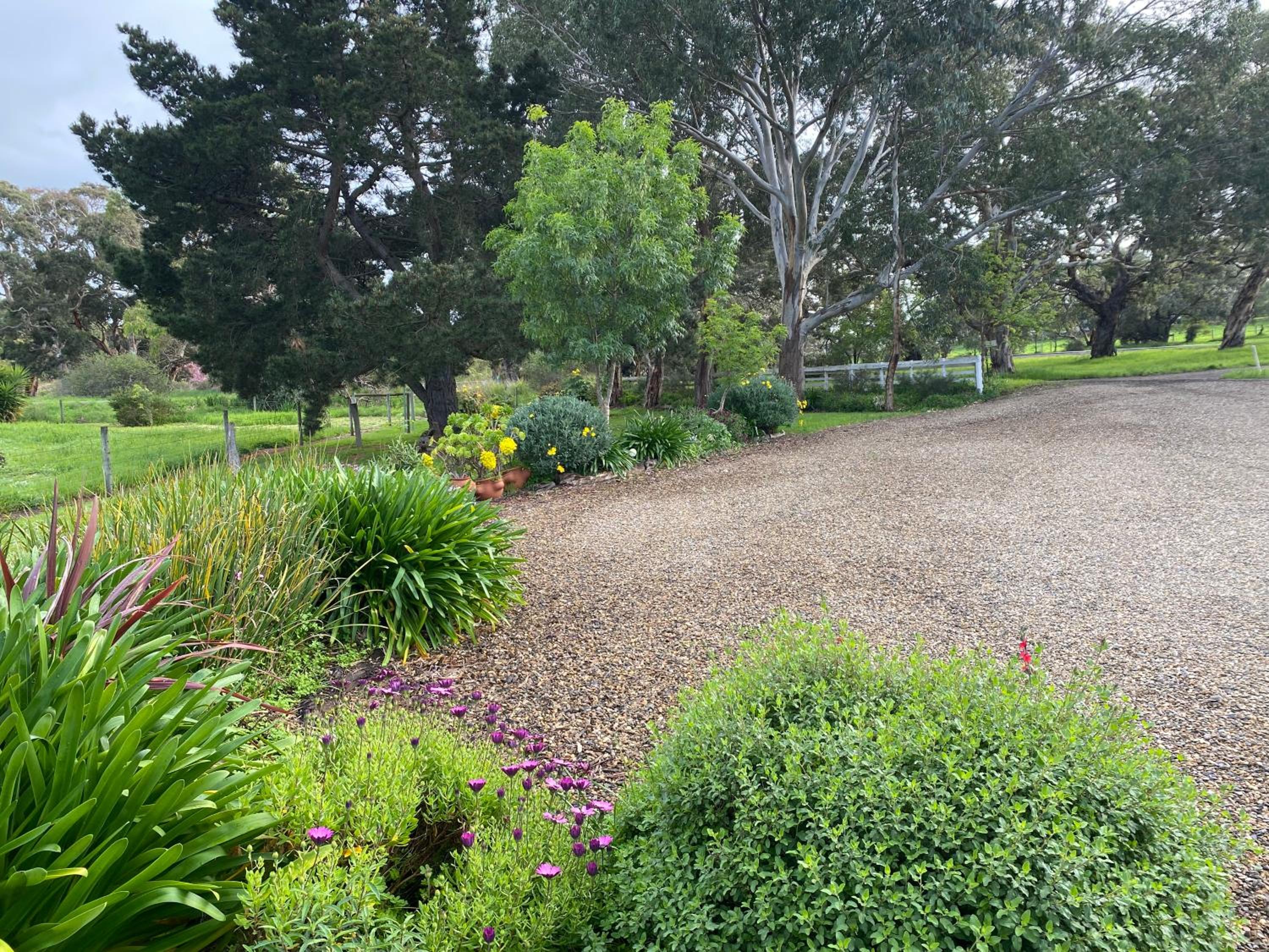 Lazy Days Cottage - Victor Harbor