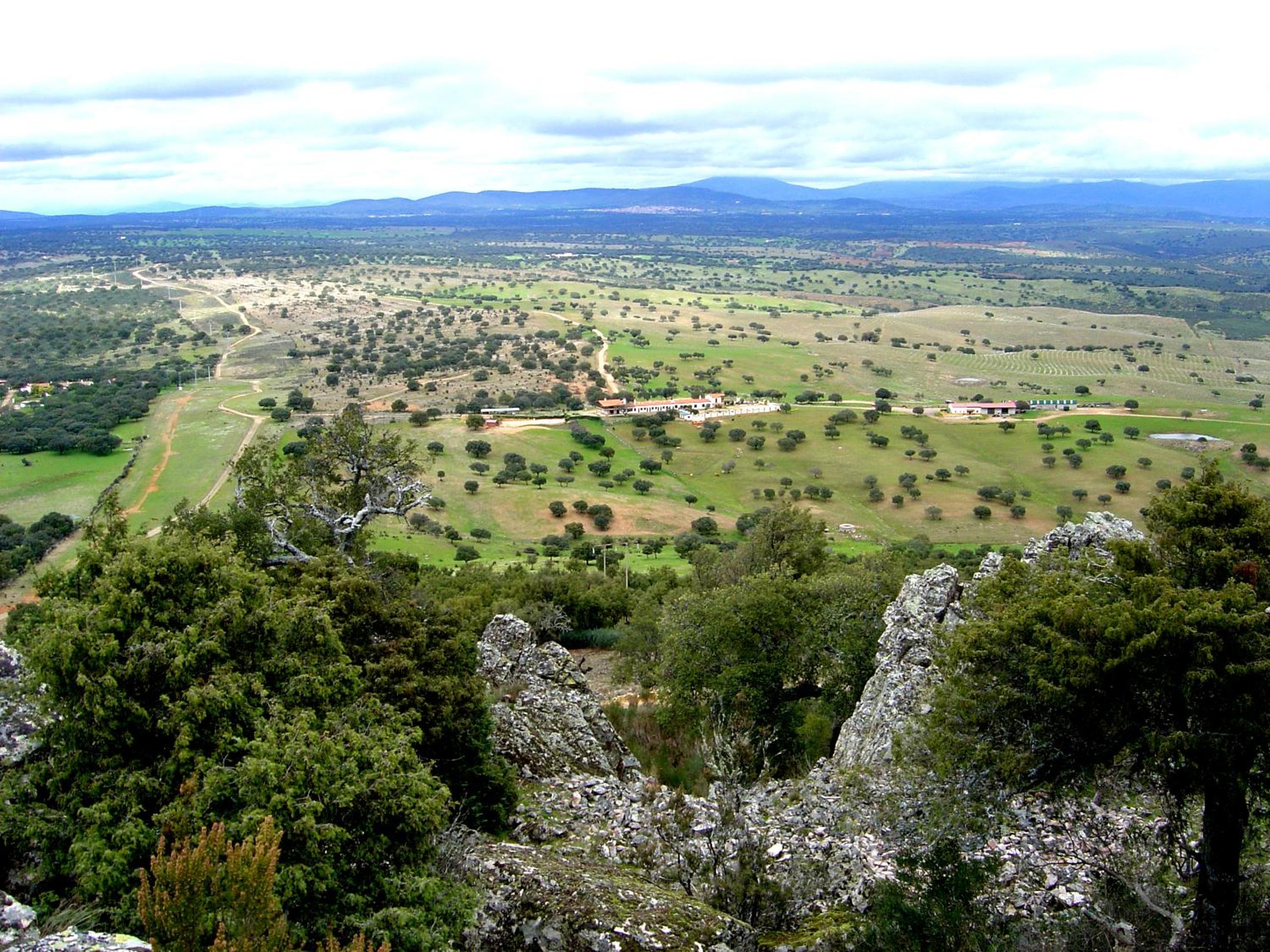 Photo 40