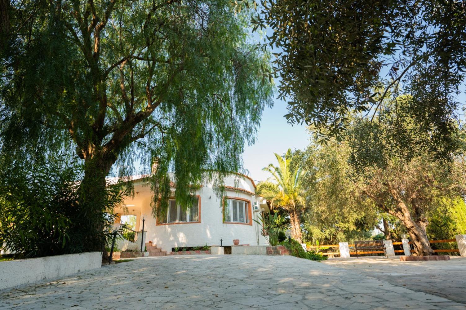 Villa Cifali - Santa Maria del Focallo photo 4