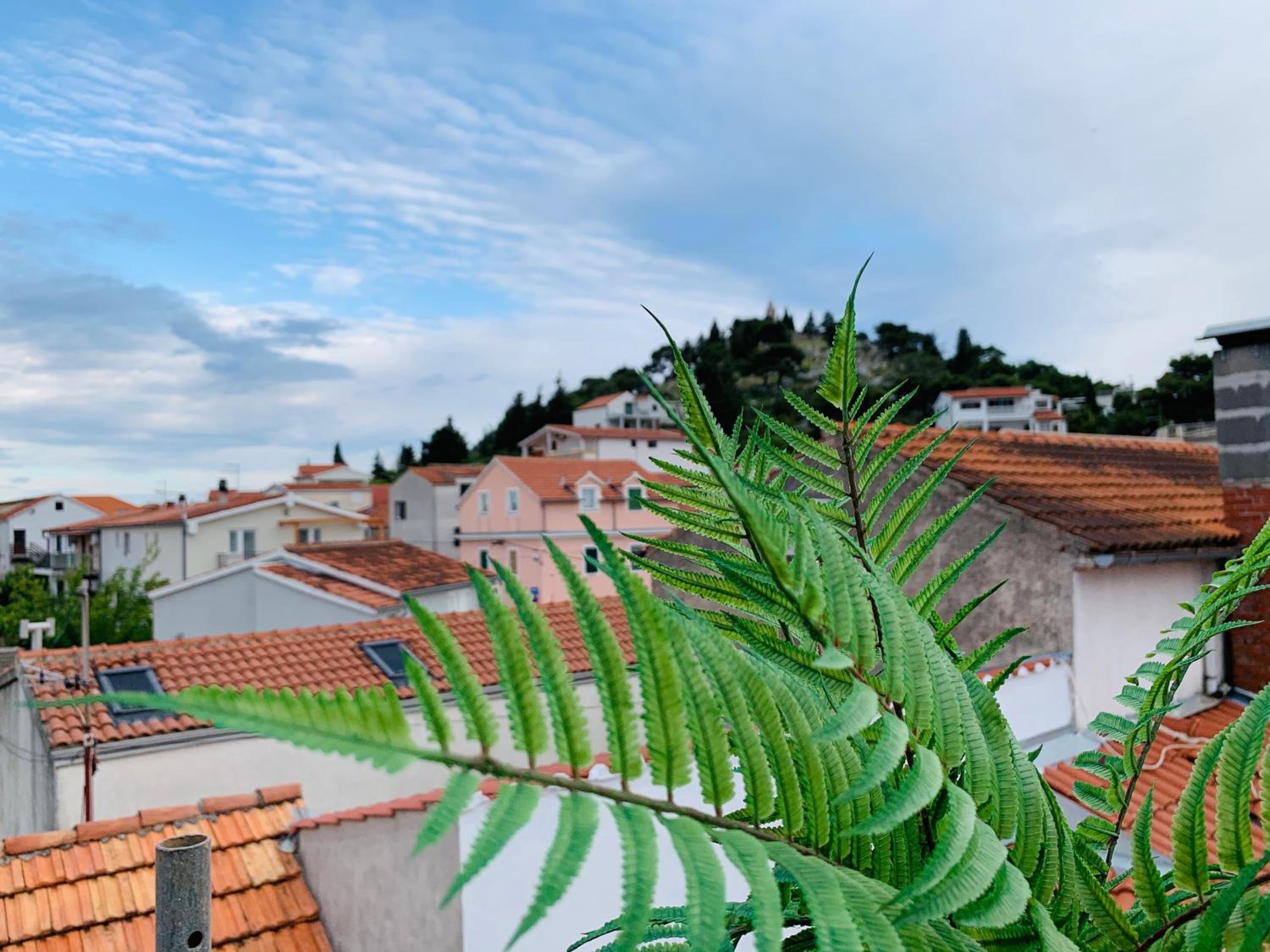roof