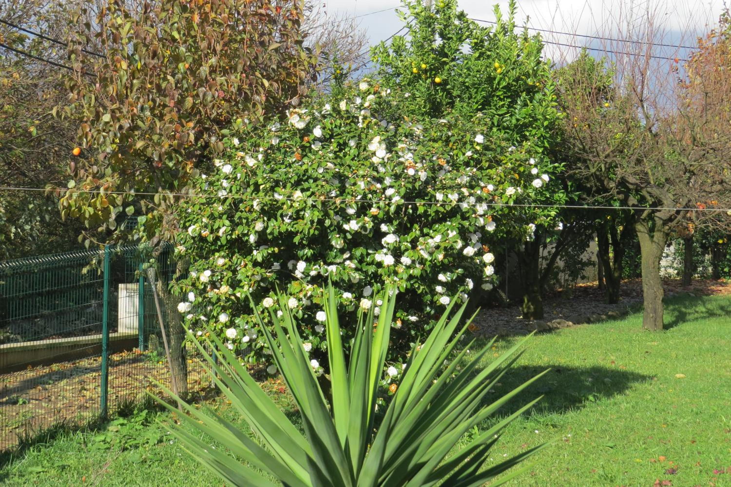 Sweet Home Braga Hostel & Guest House
