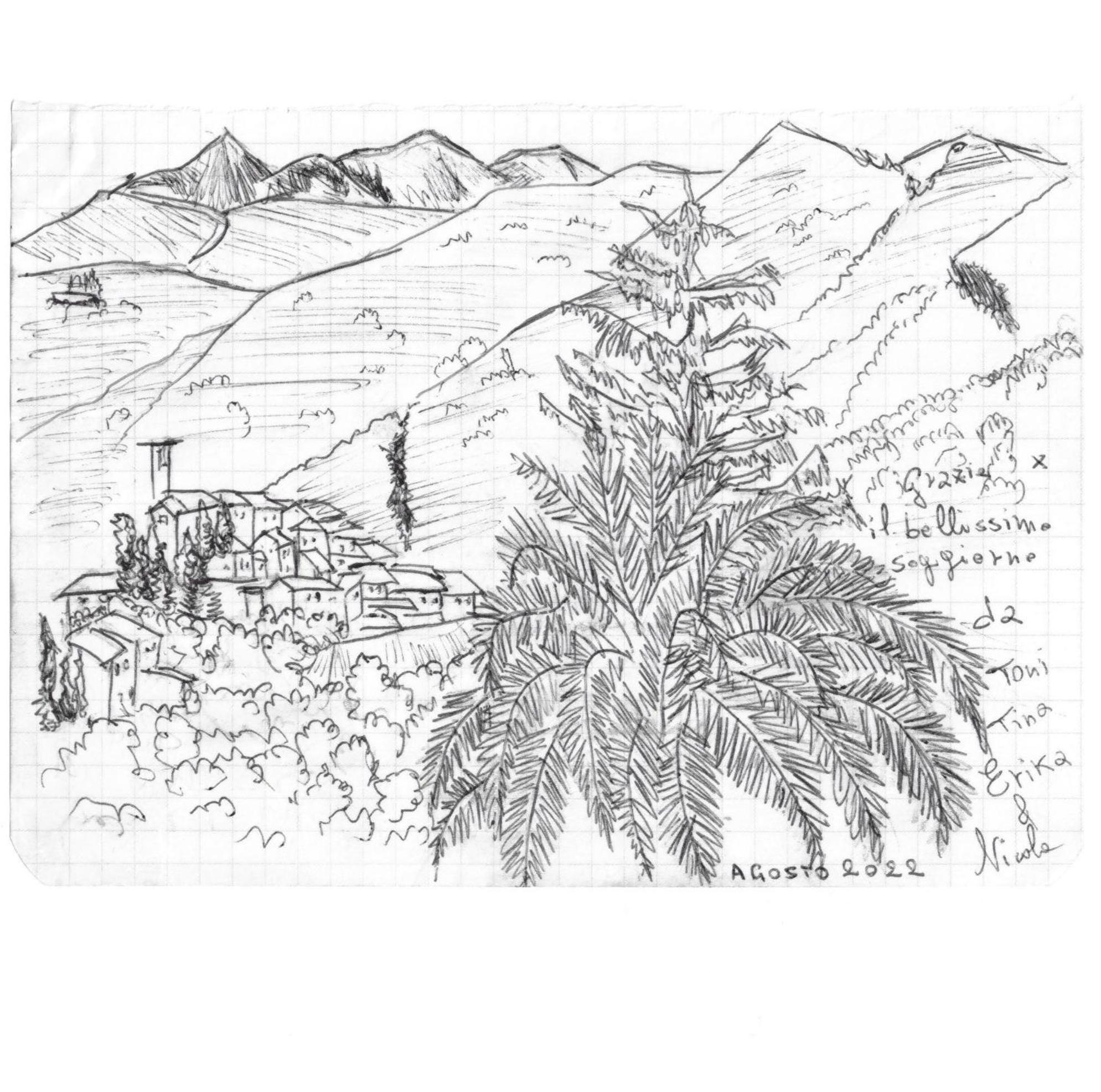 Photo 46