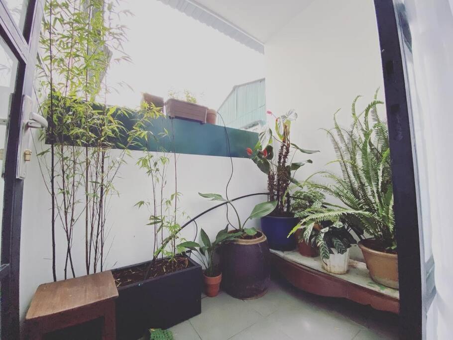 2 phòng ngủ - căn nhà gỗ xinh xắn trung tâm Đà Lạt