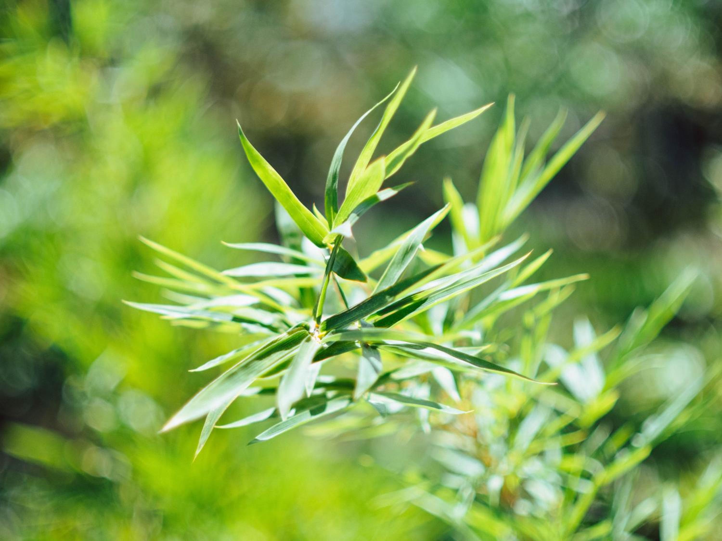 other