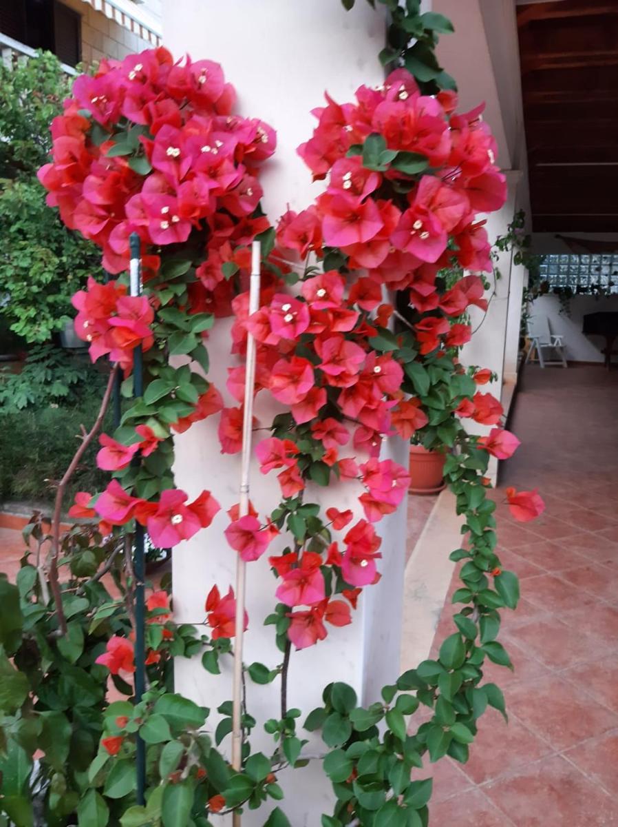 Apartmani Kadena