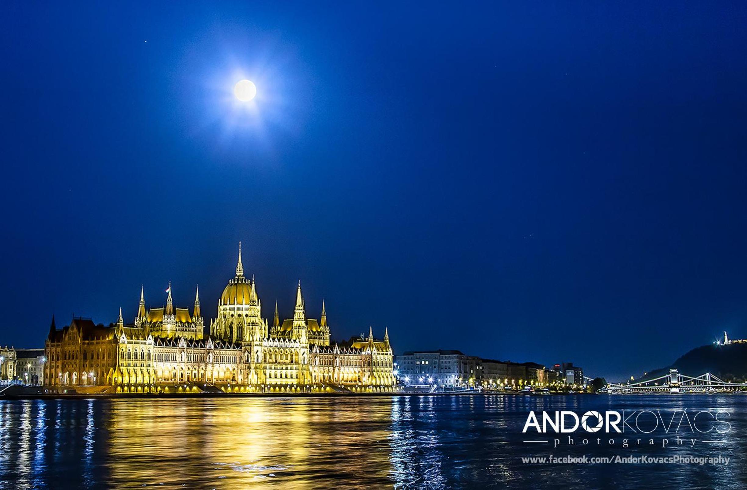 Anabelle Bed and Budapest