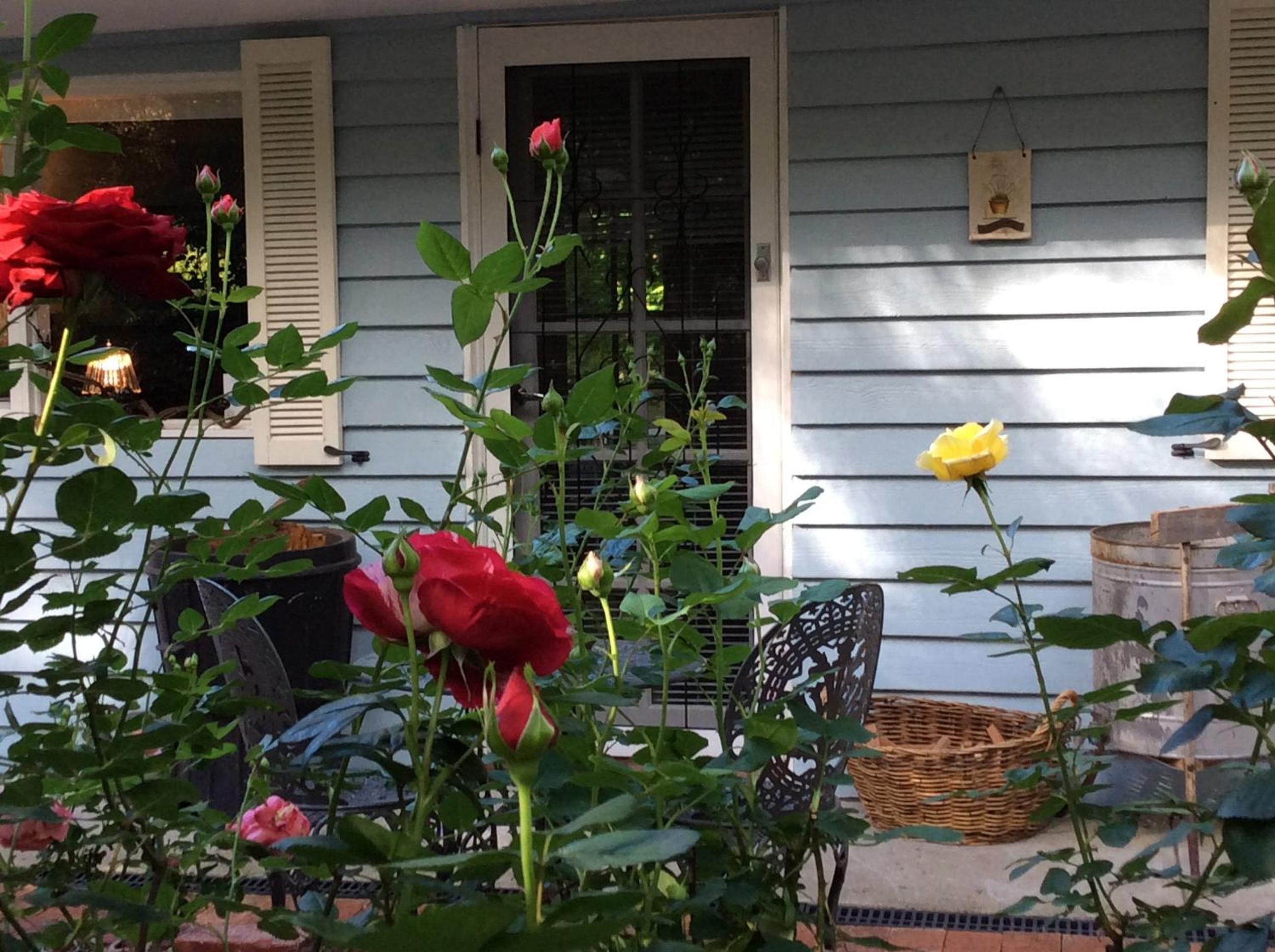 Aldgate Valley Bed and Breakfast