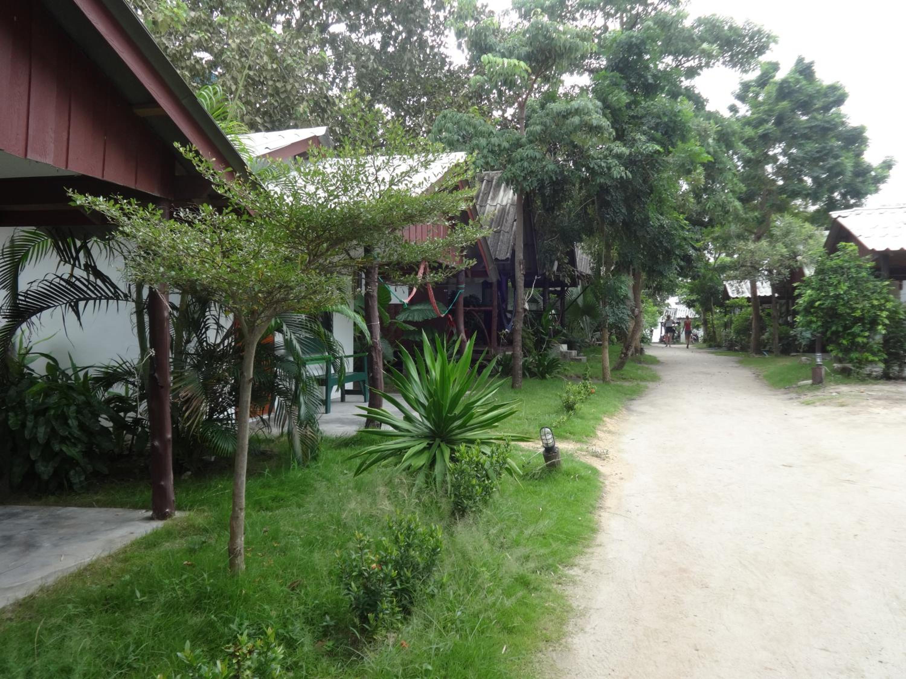 The Cosy Koh Phangan and Restaurant