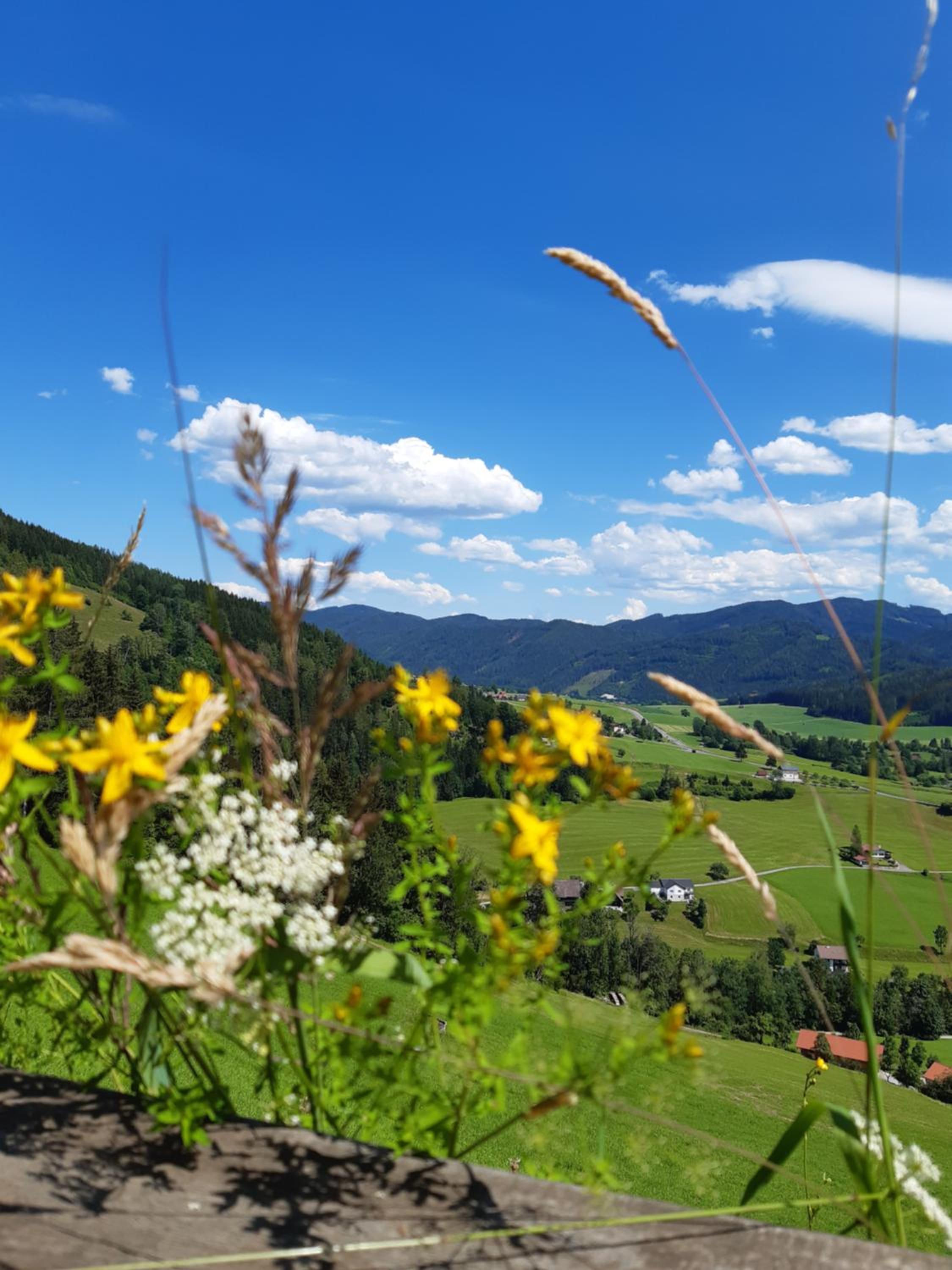 Troadkasten - Ferienhaus am BIO-Bergbauernhof Kammerhofer vlg Roath