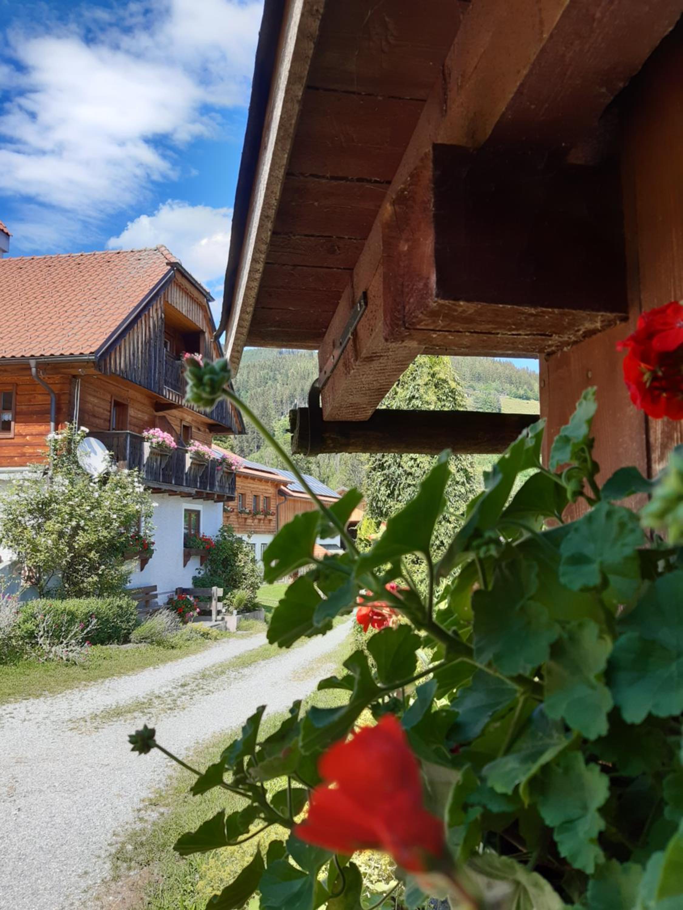 Troadkasten - Ferienhaus am BIO-Bergbauernhof Kammerhofer vlg Roath