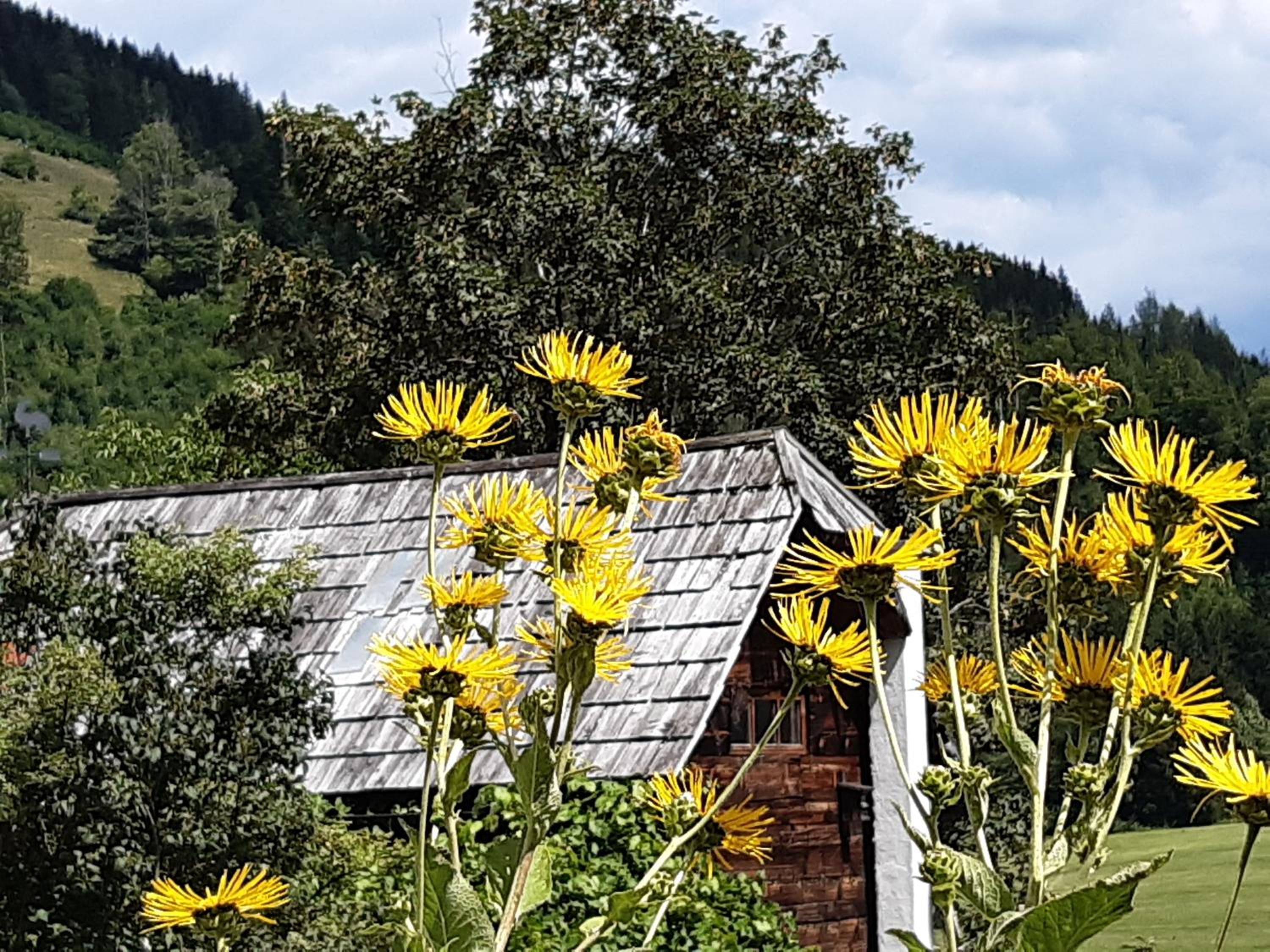 Troadkasten - Ferienhaus am BIO-Bergbauernhof Kammerhofer vlg Roath