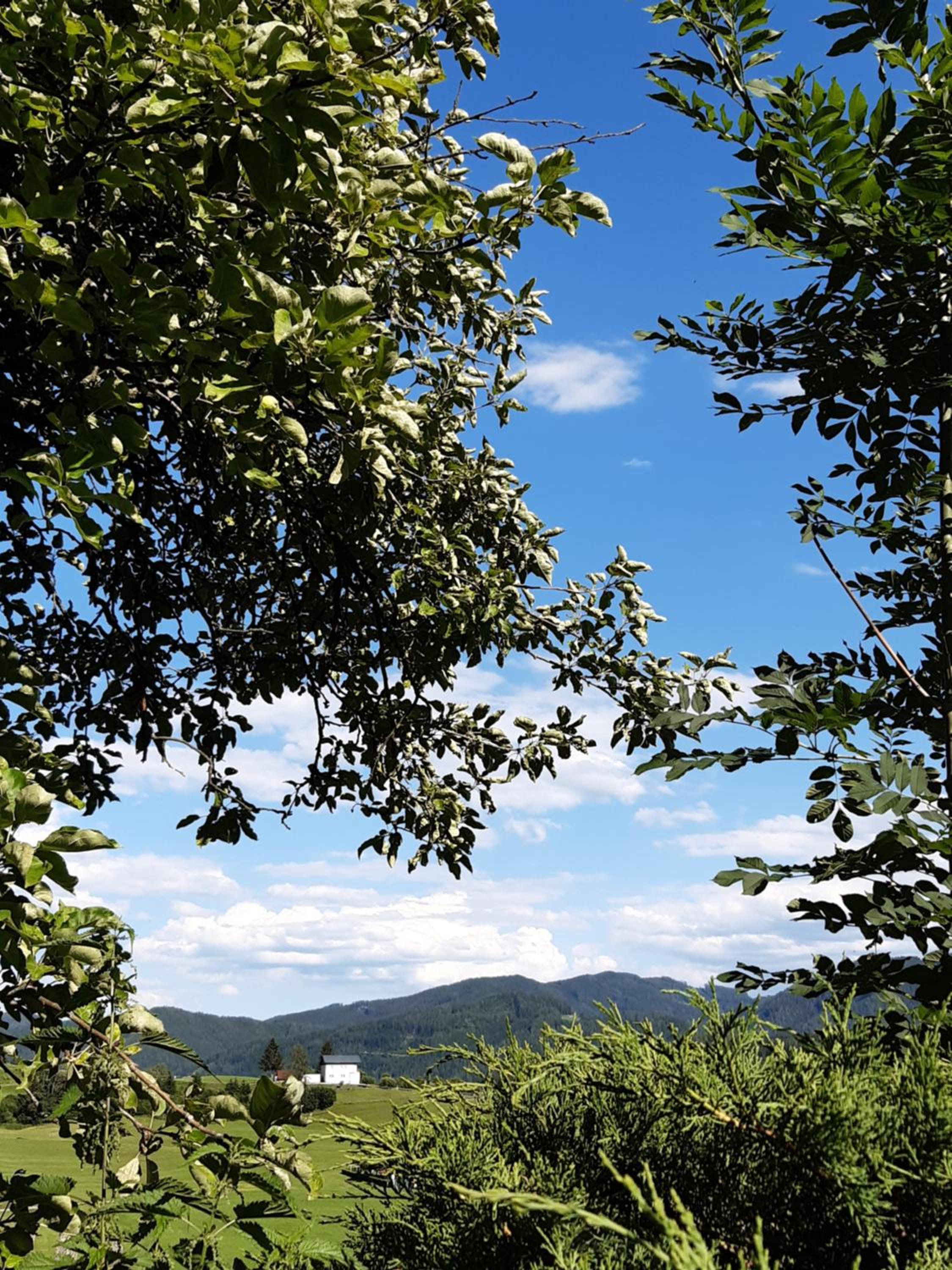 Troadkasten - Ferienhaus am BIO-Bergbauernhof Kammerhofer vlg Roath