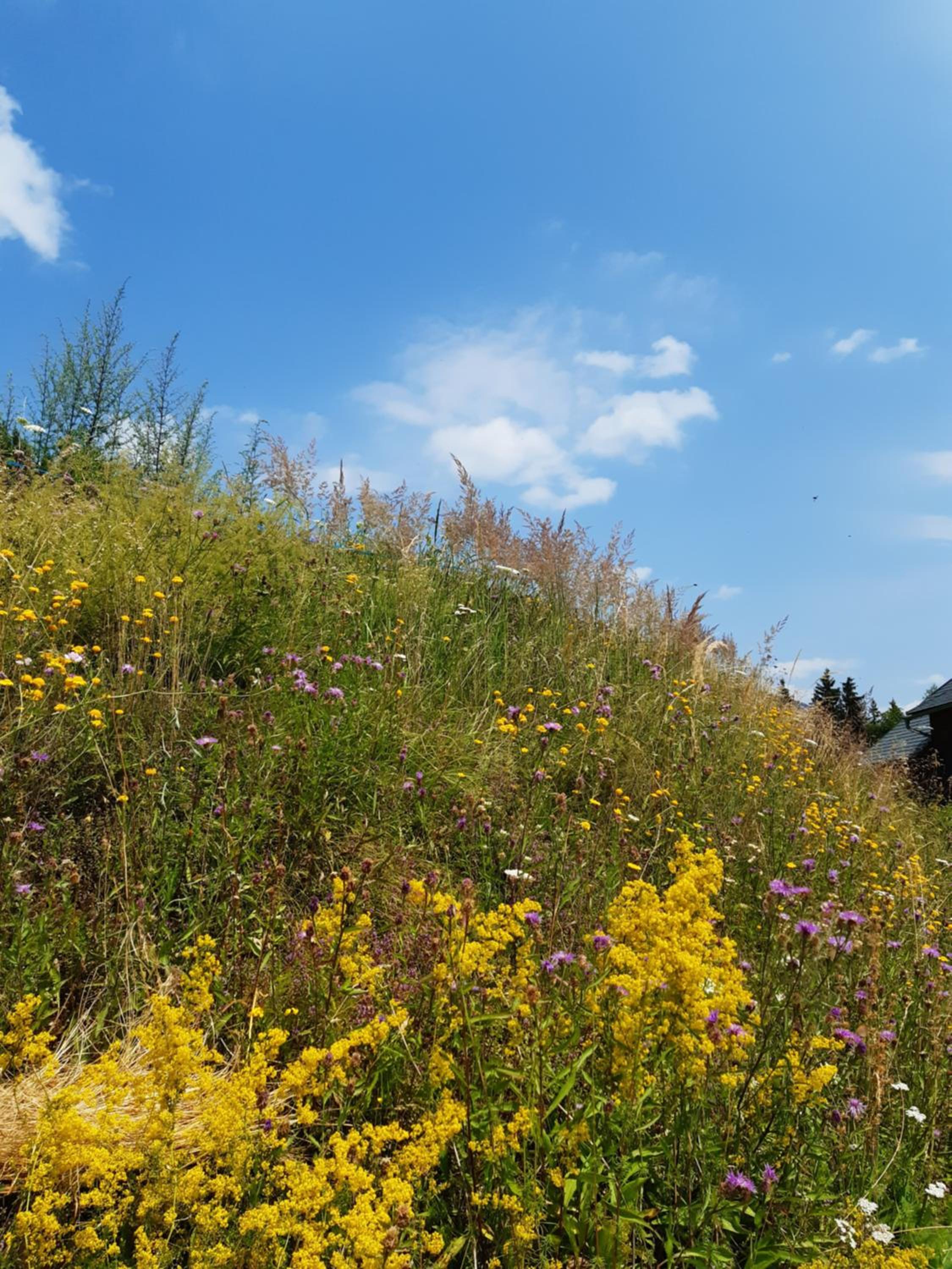 Troadkasten - Ferienhaus am BIO-Bergbauernhof Kammerhofer vlg Roath