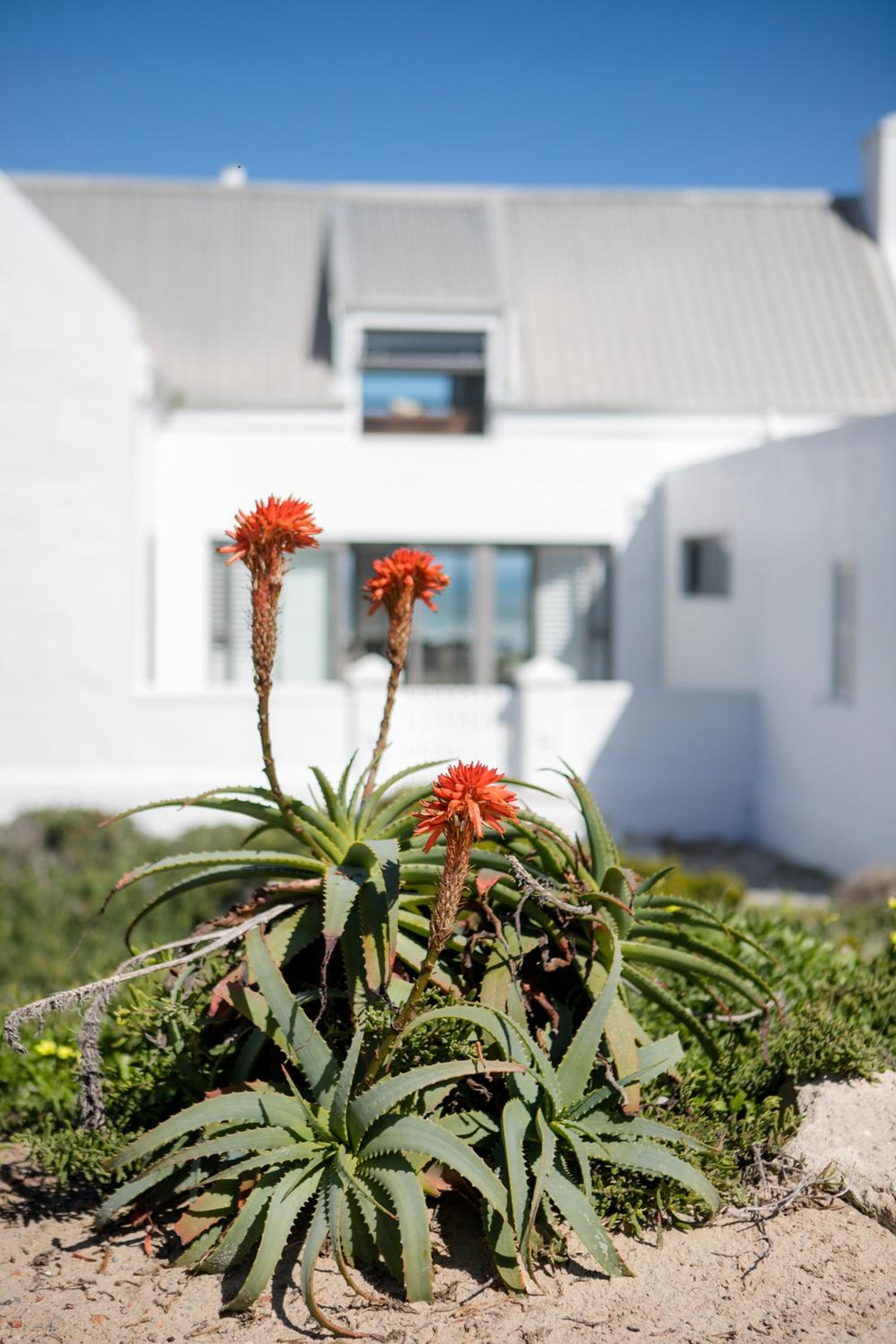 The Duinhuis Yzerfontein view 4