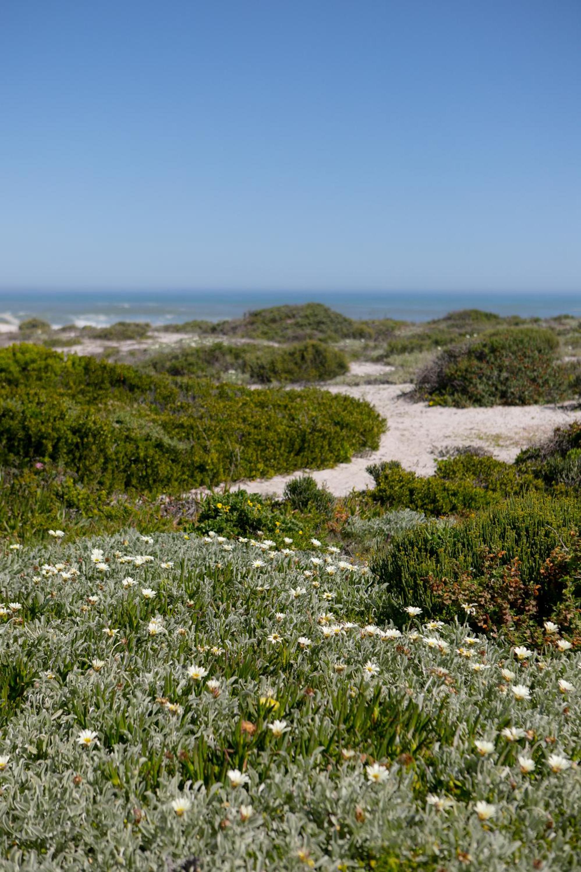 The Duinhuis Yzerfontein view 3