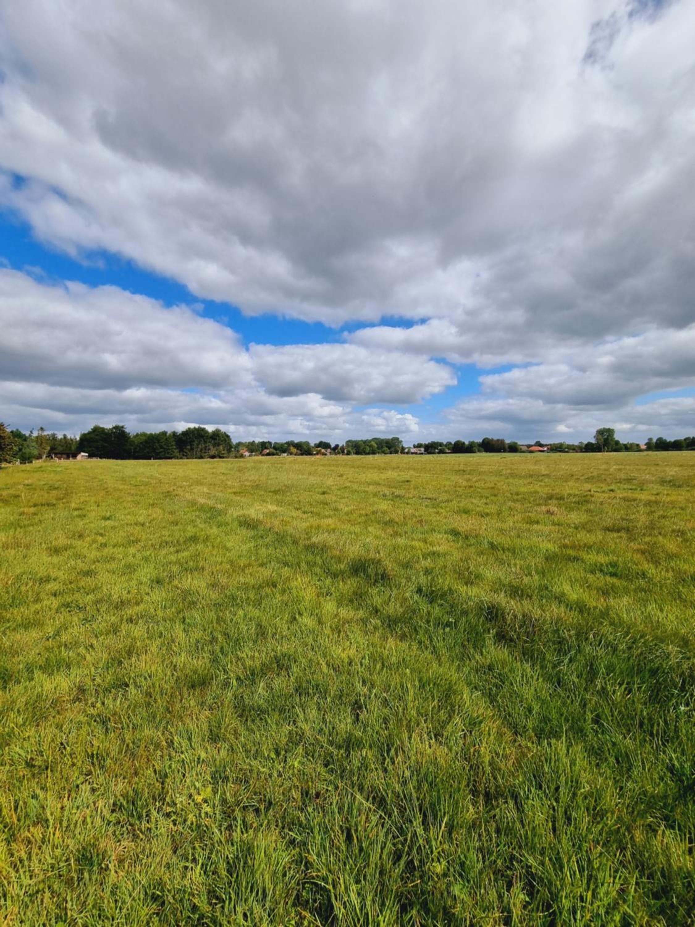 Haus Moor Merland