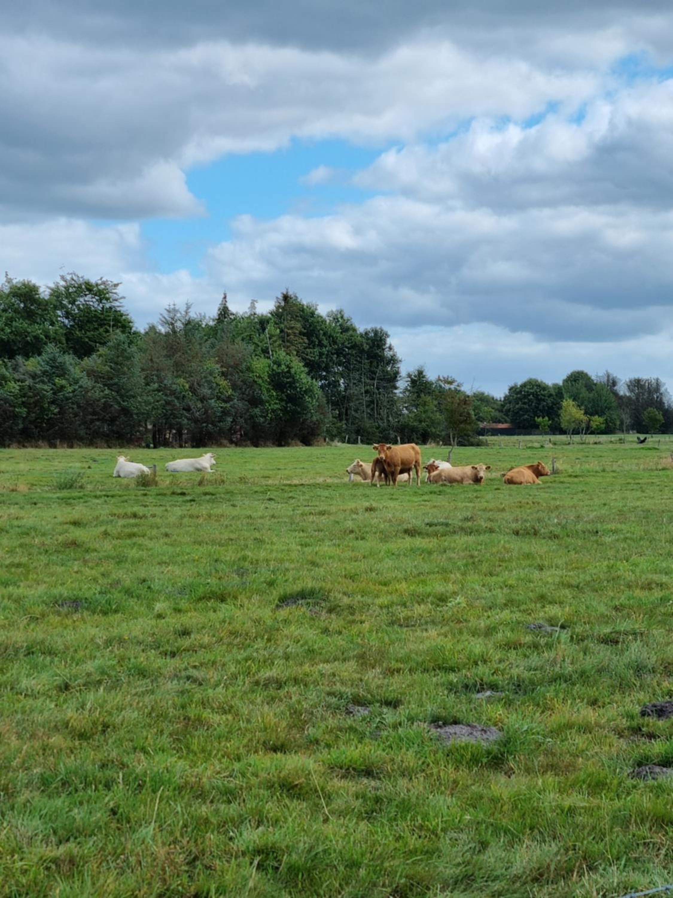 Haus Moor Merland