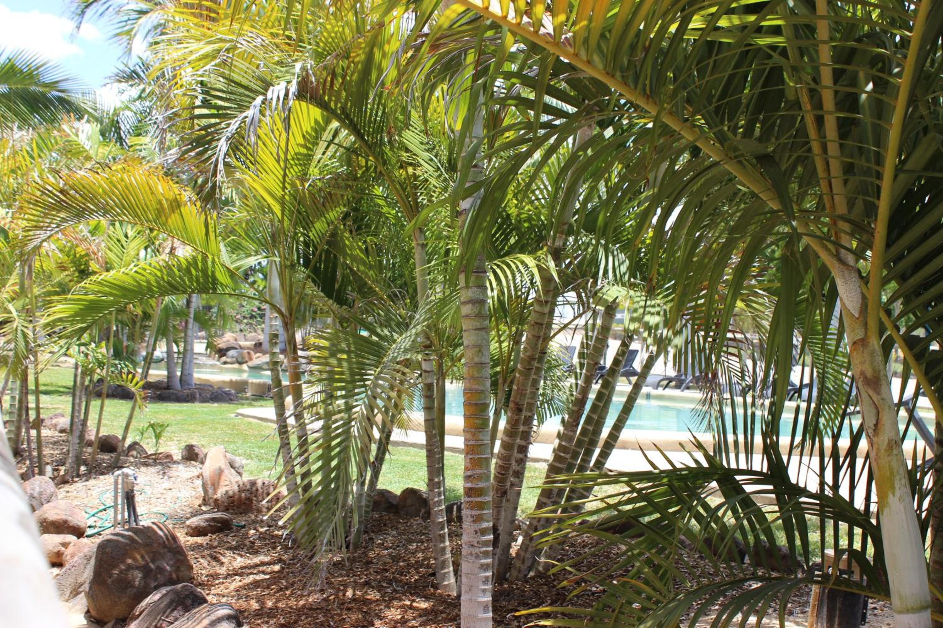 Aussie Outback Oasis Holiday Park