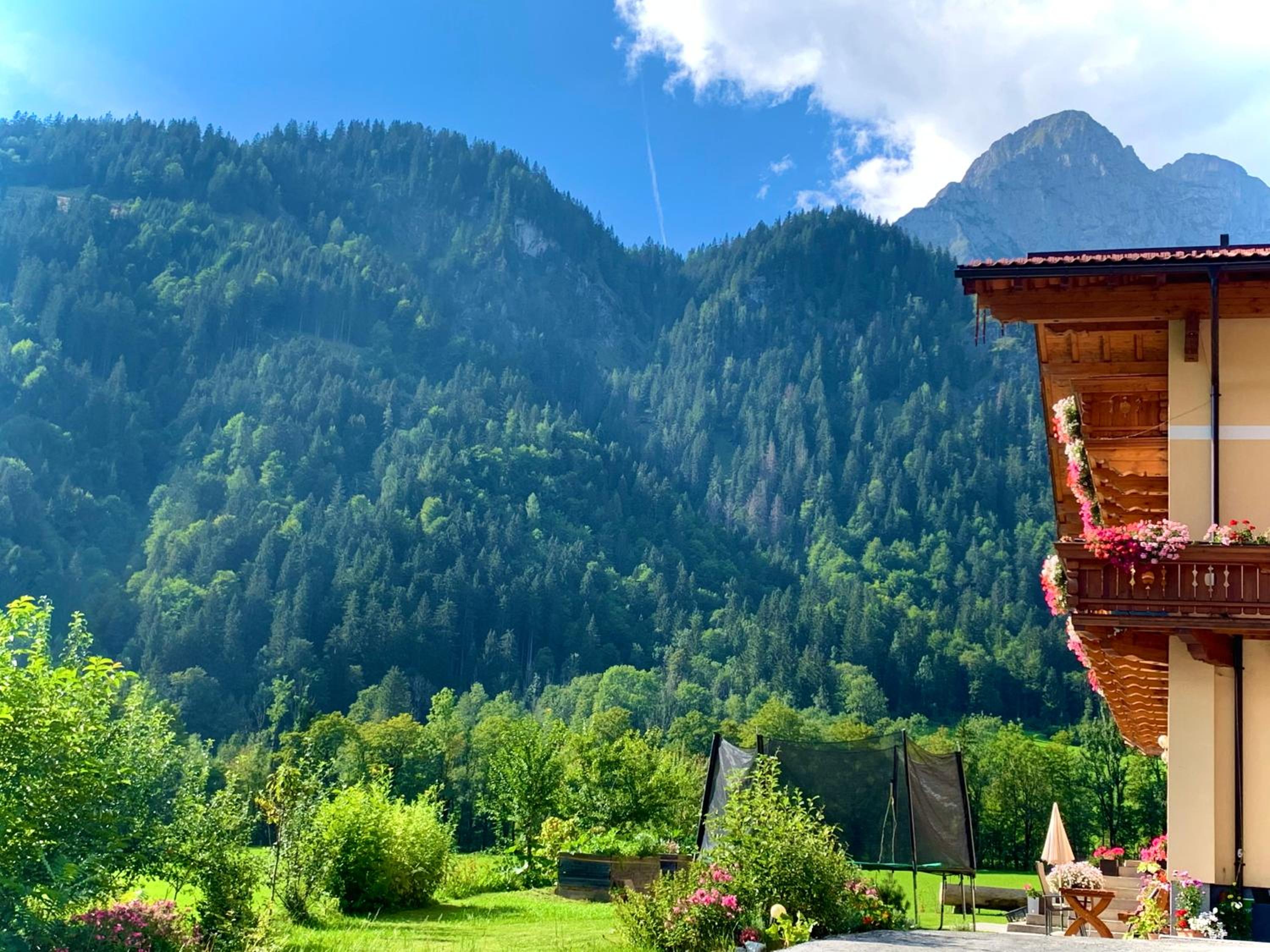 Alpen Appartements Oberlehengut - keine Haustiere - allergikerfreundlich