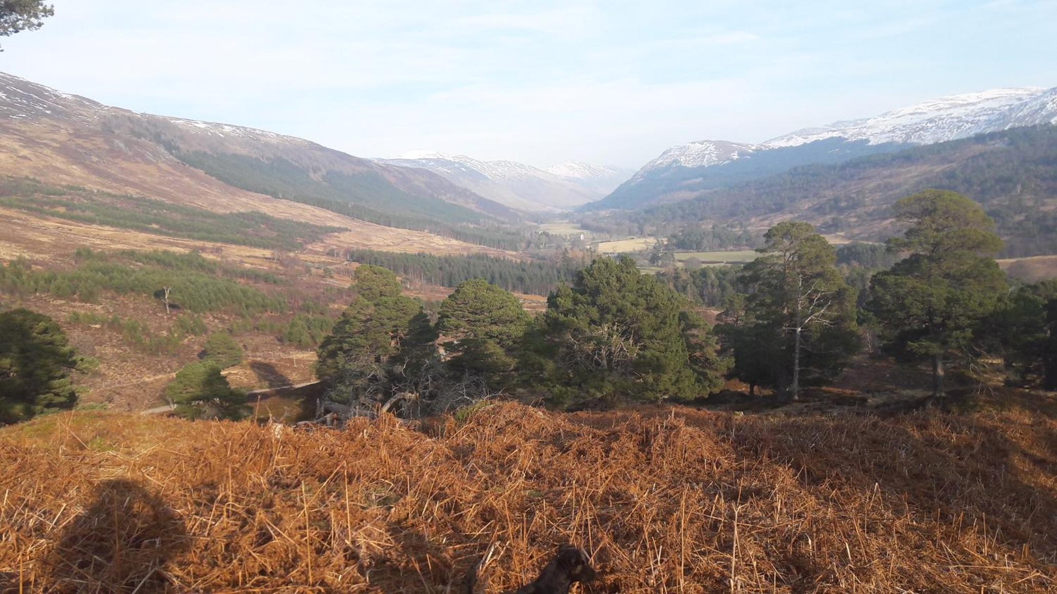 Lochs Lodge, Glenlyon, Perthshire view 5