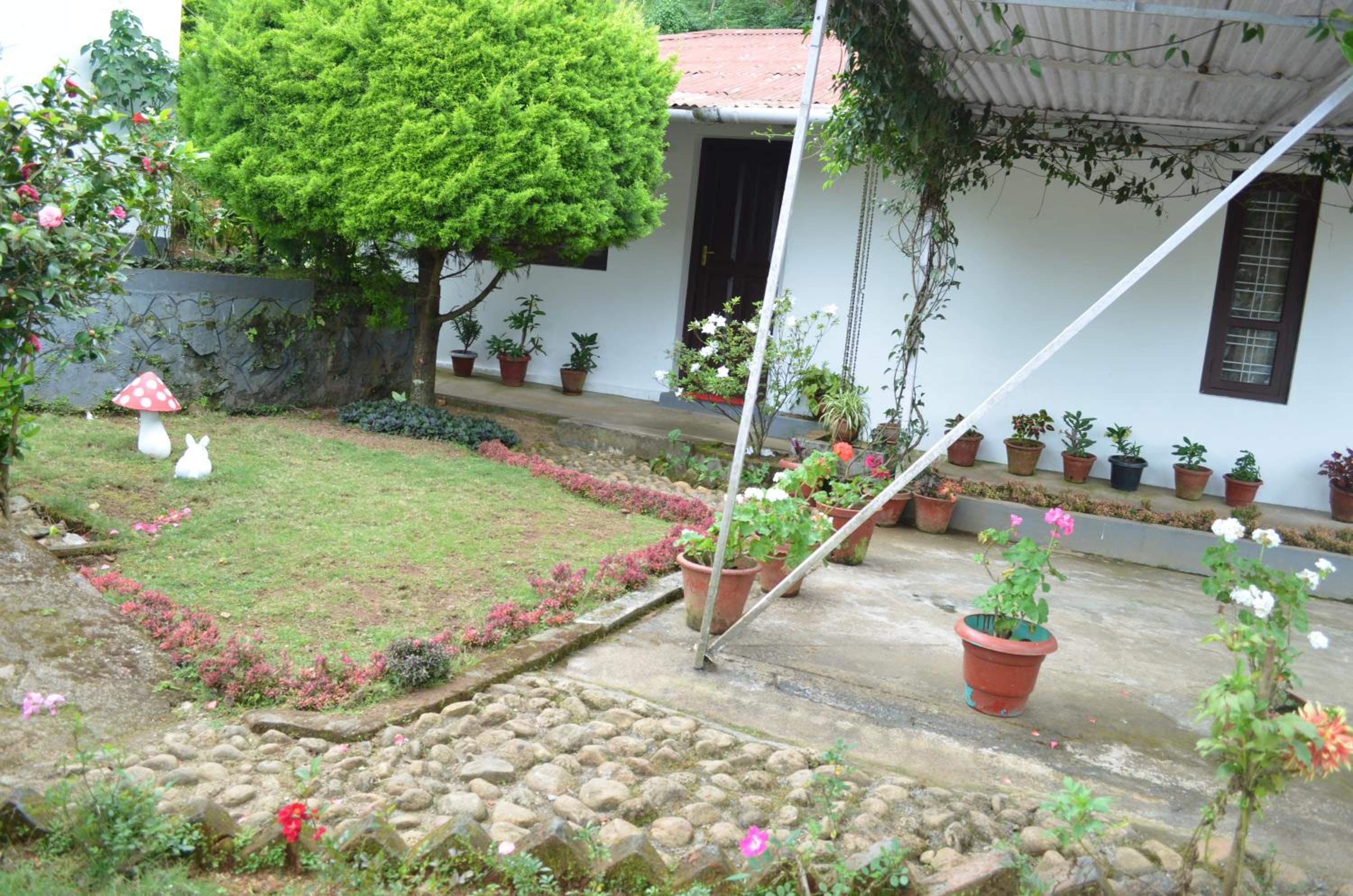 Photo 7