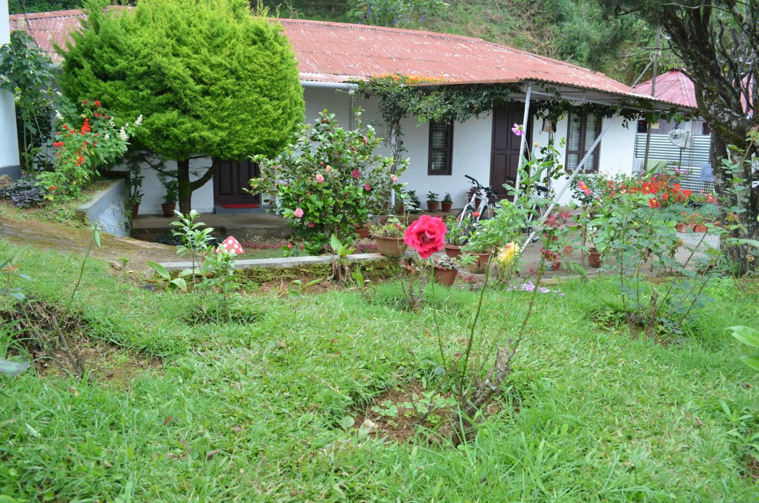 Photo 32