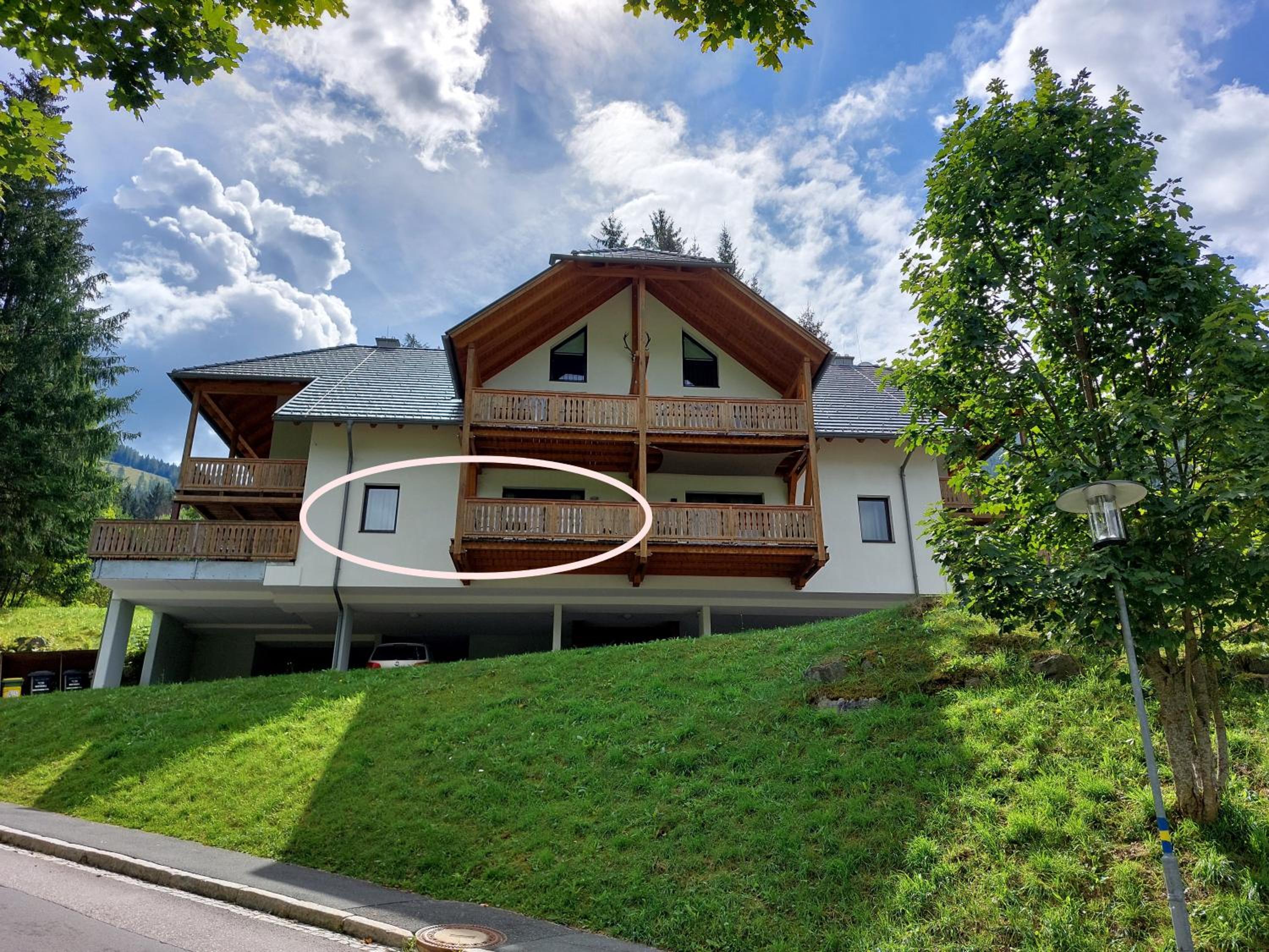 ALPENFLAIR - charming ski-to-door apartment