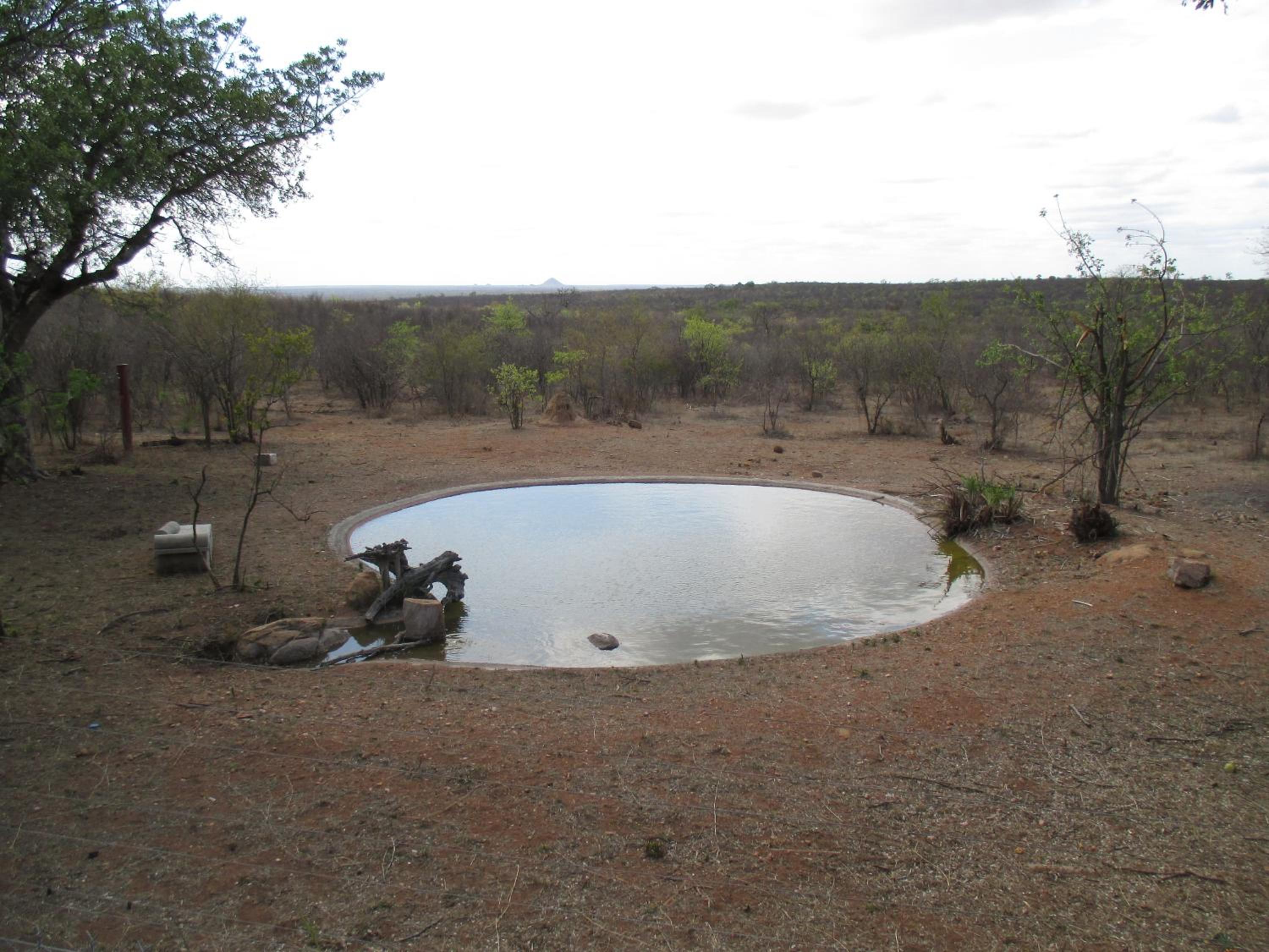 Photo 48