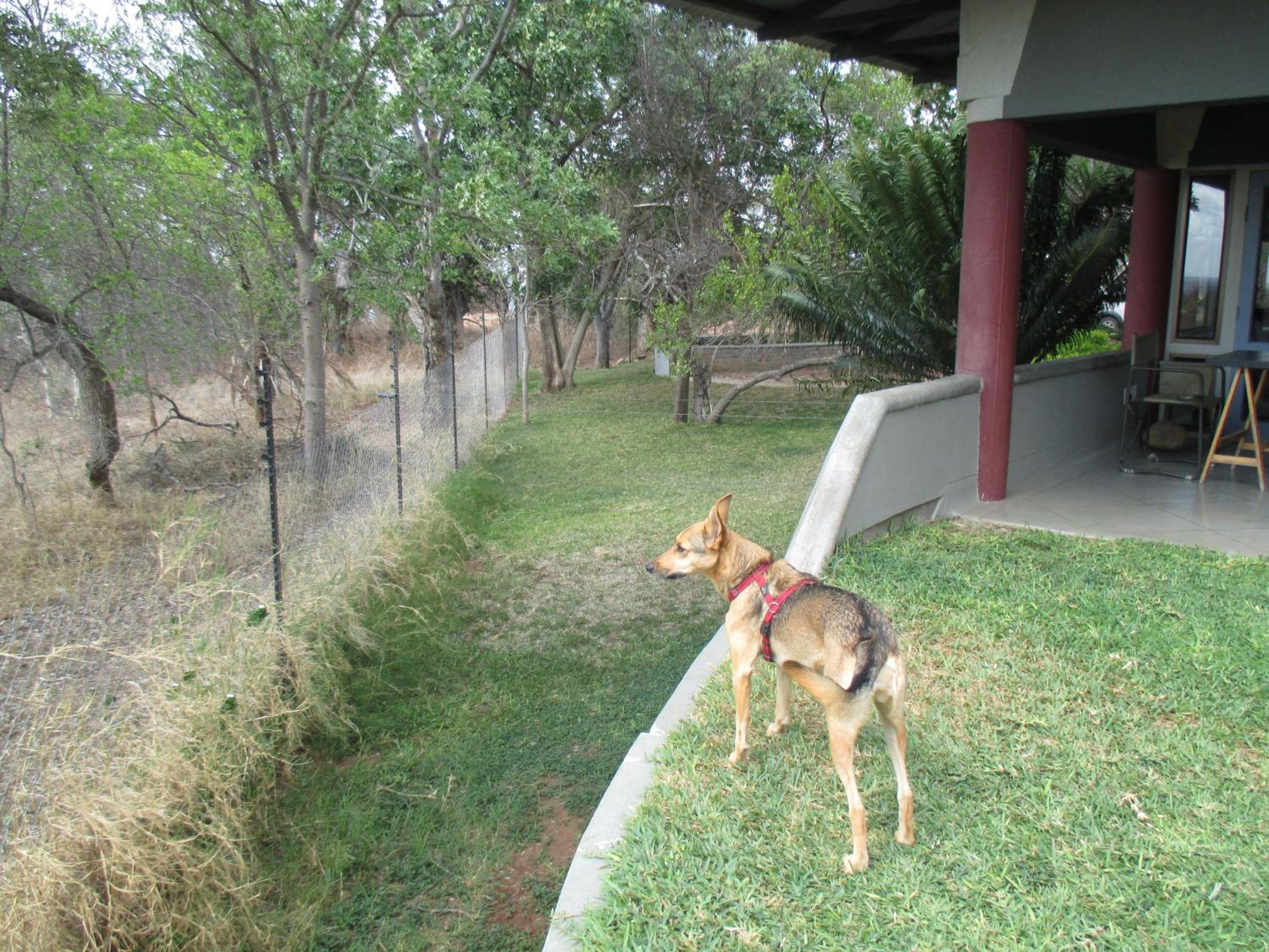 Photo 51