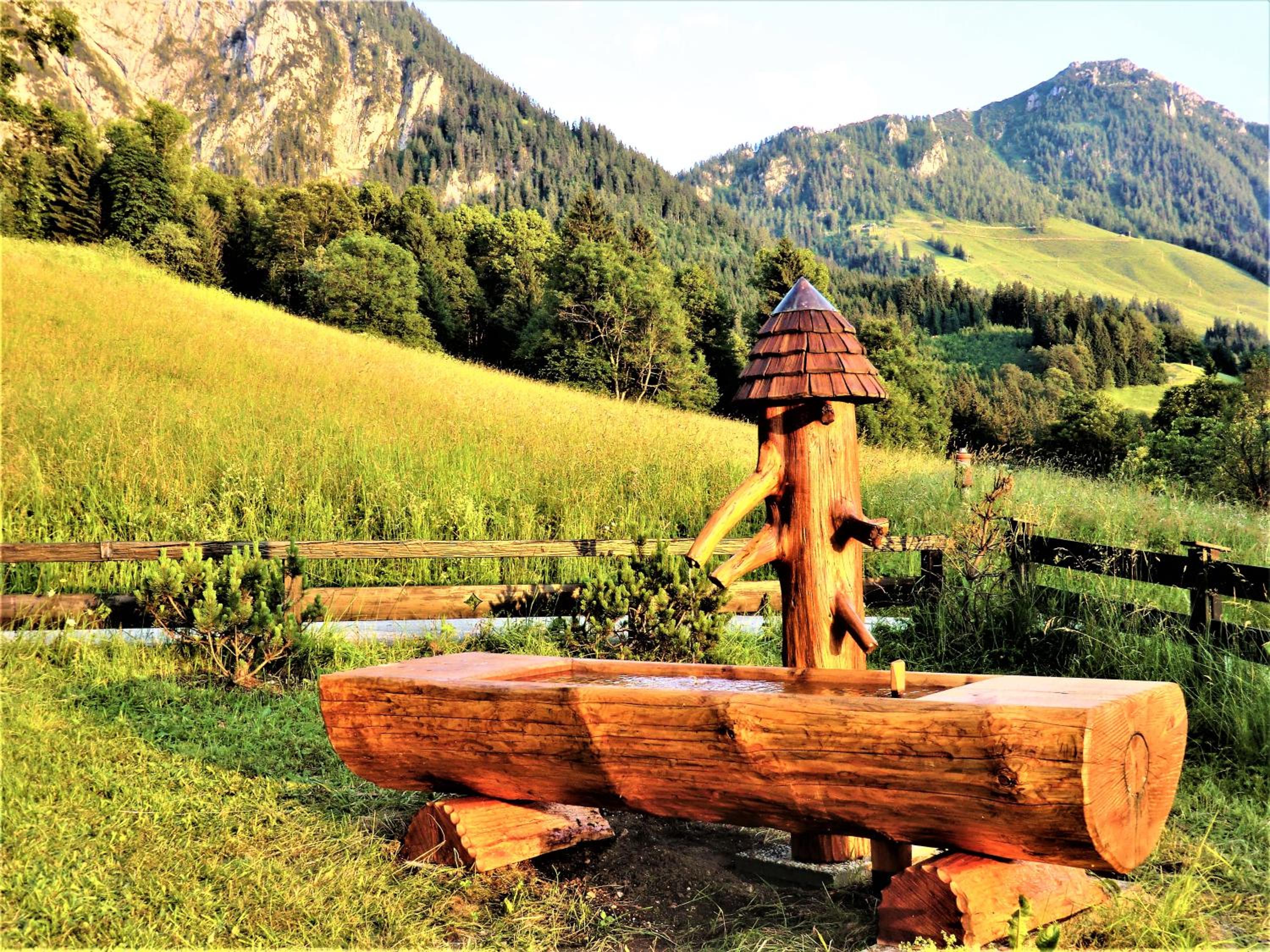 4 Bergpanorama mit herrlicher alpinen Almlandschaft für absolute Nichtraucher