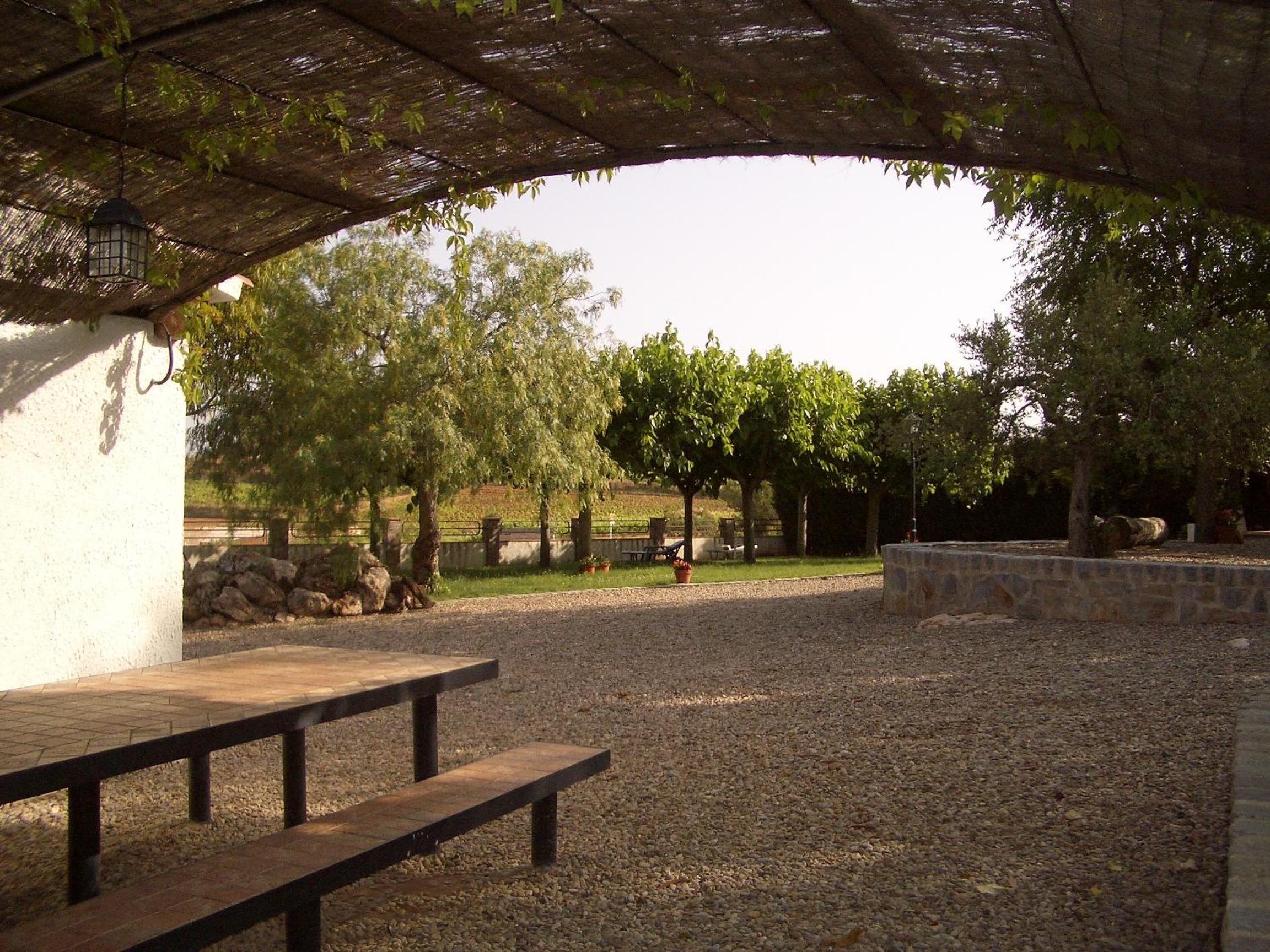 Photo 23