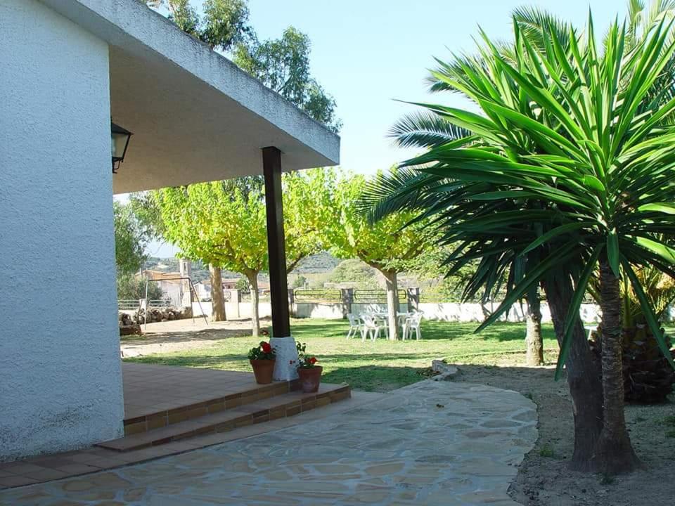 Photo 28