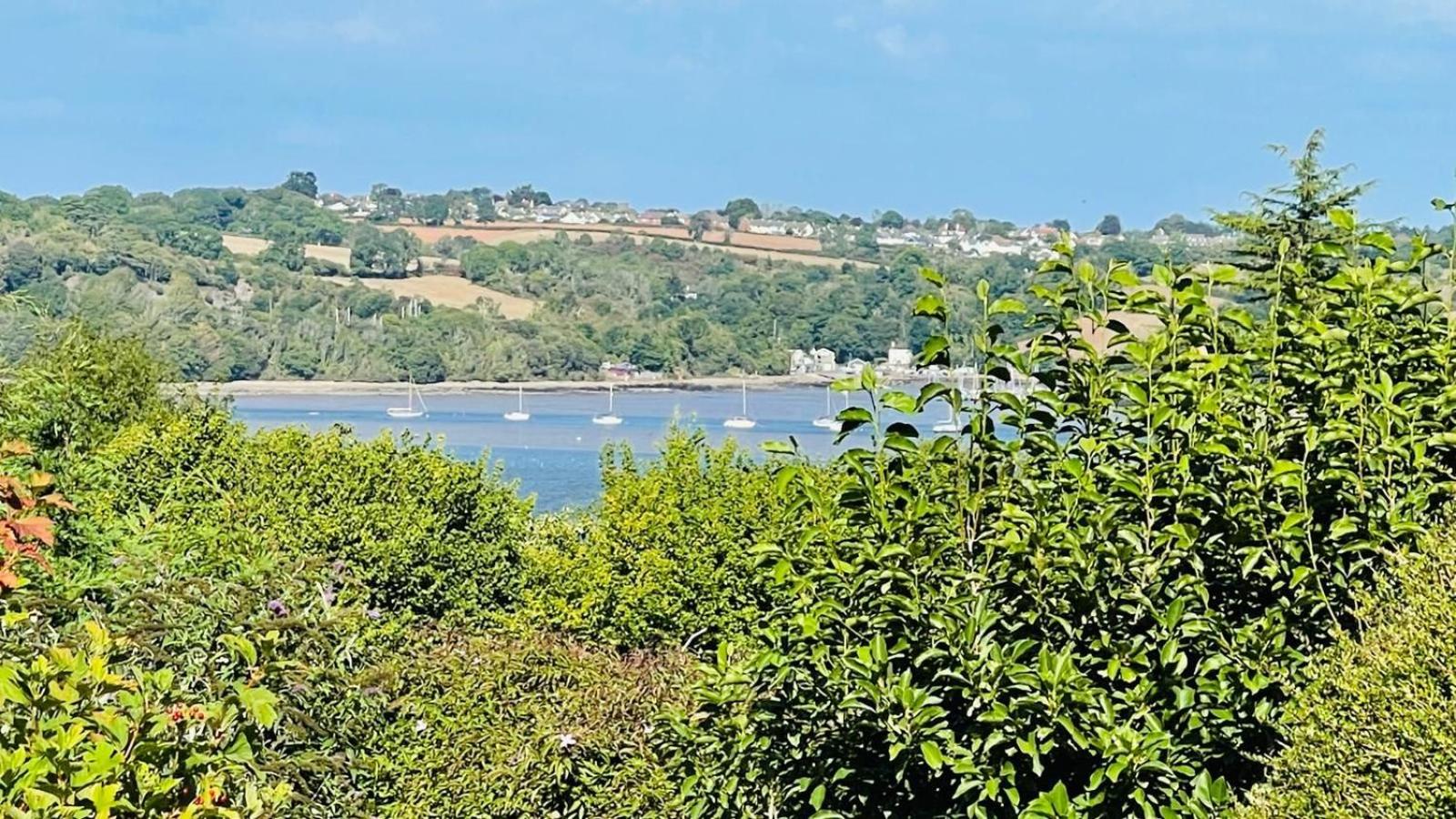 Donore - Quintessential English Cottage close to Dittisham Quay view 2