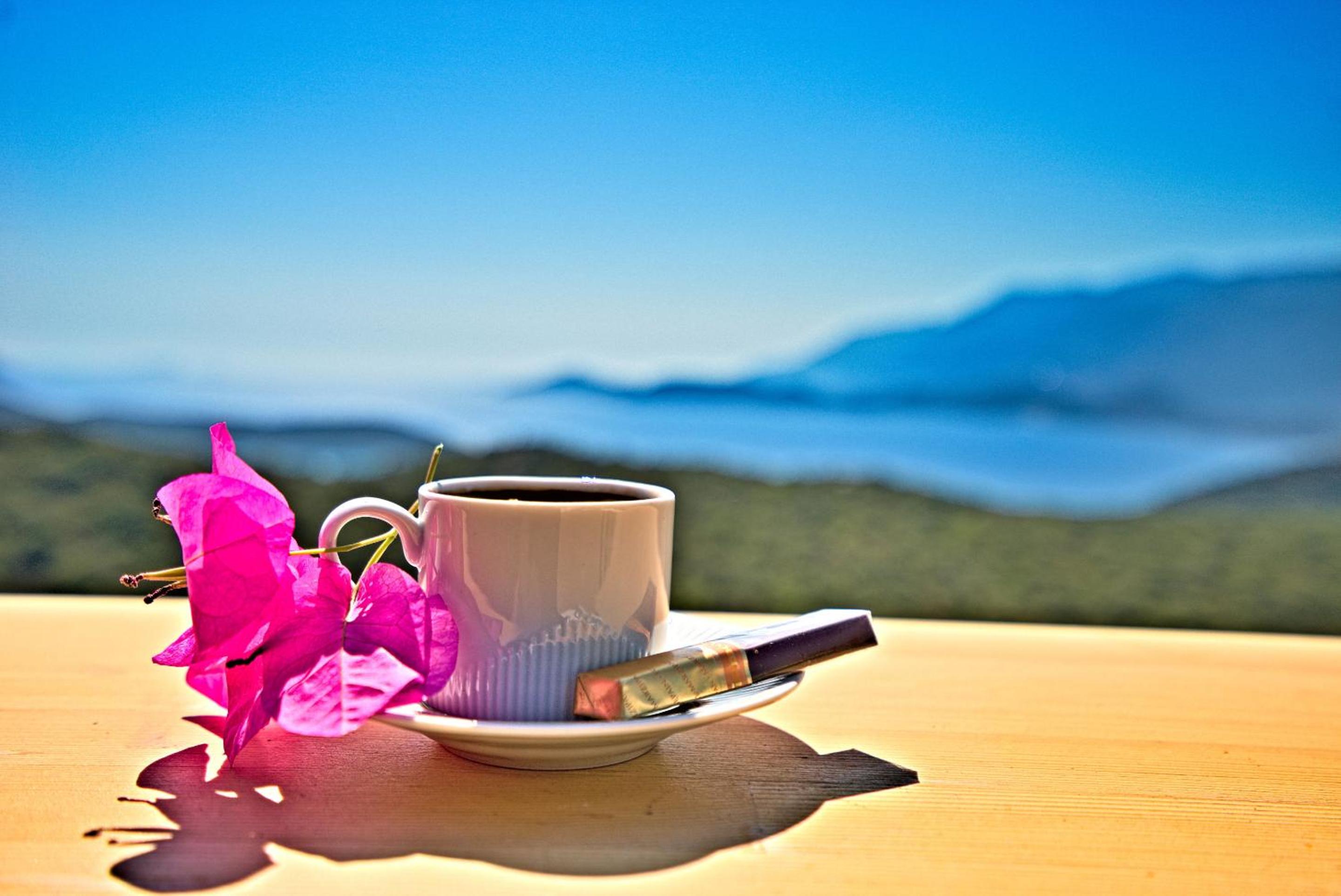 Stonehillkaş - Image 72