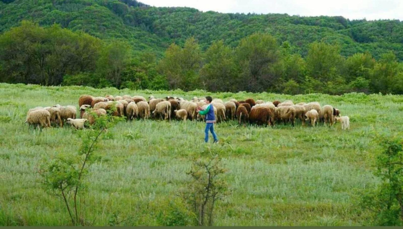Ранчо Бандера