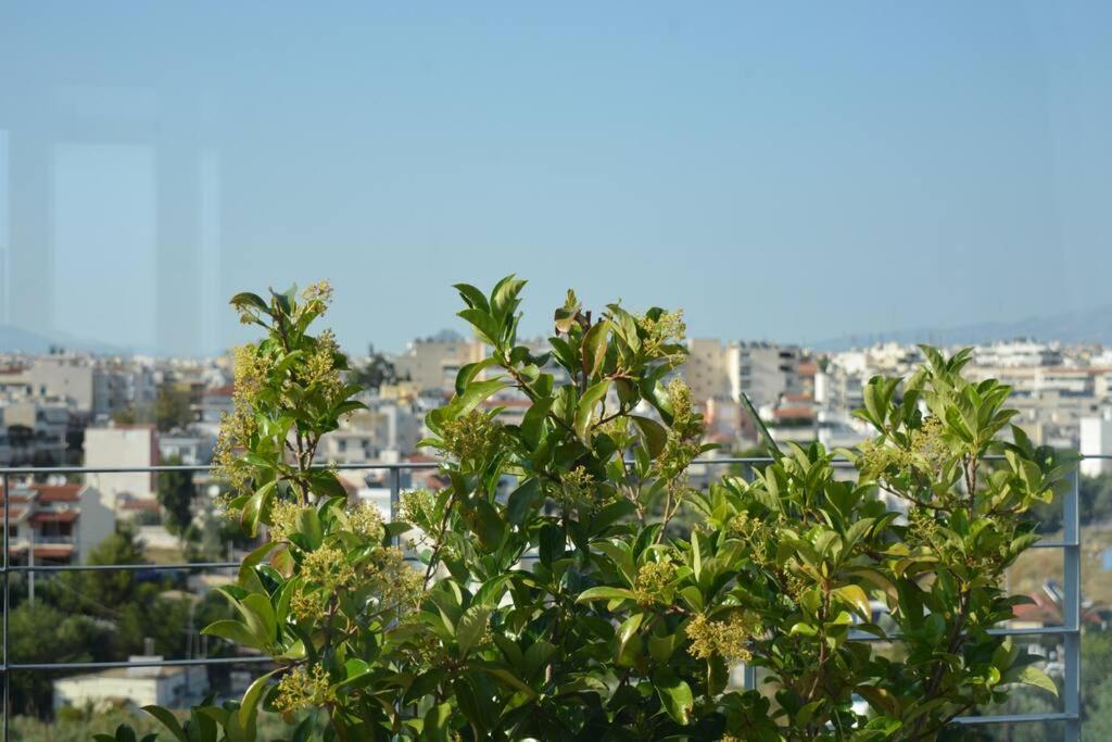 The Love suite 1 Athens Riviera