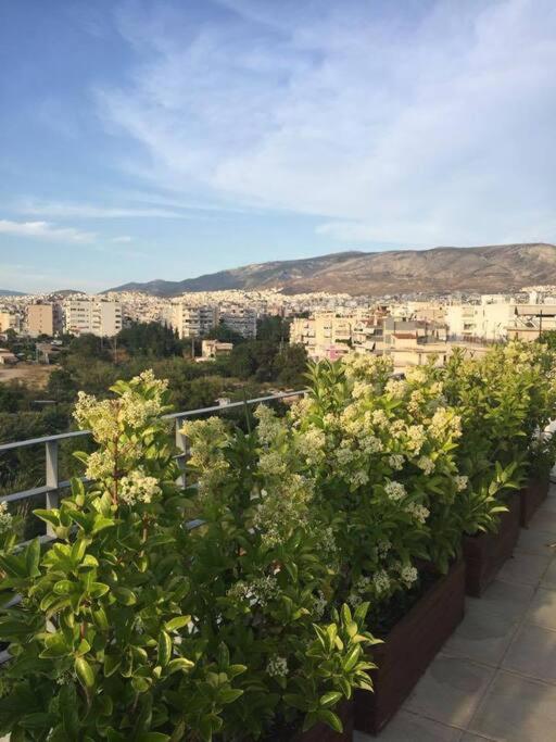 The Love suite 1 Athens Riviera