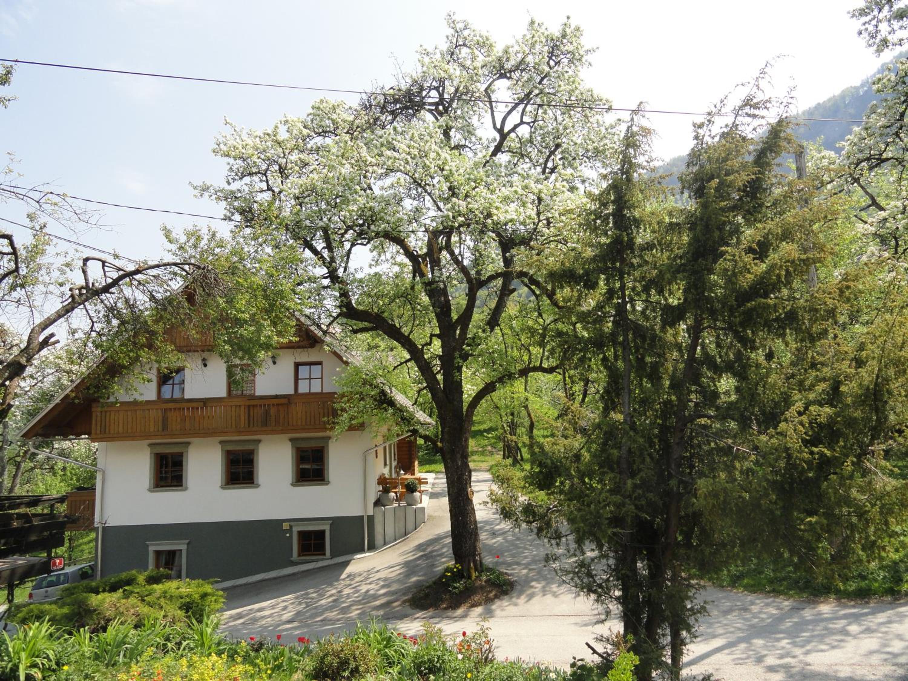 Photo 14