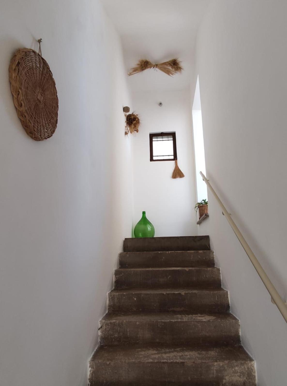 Photo 36