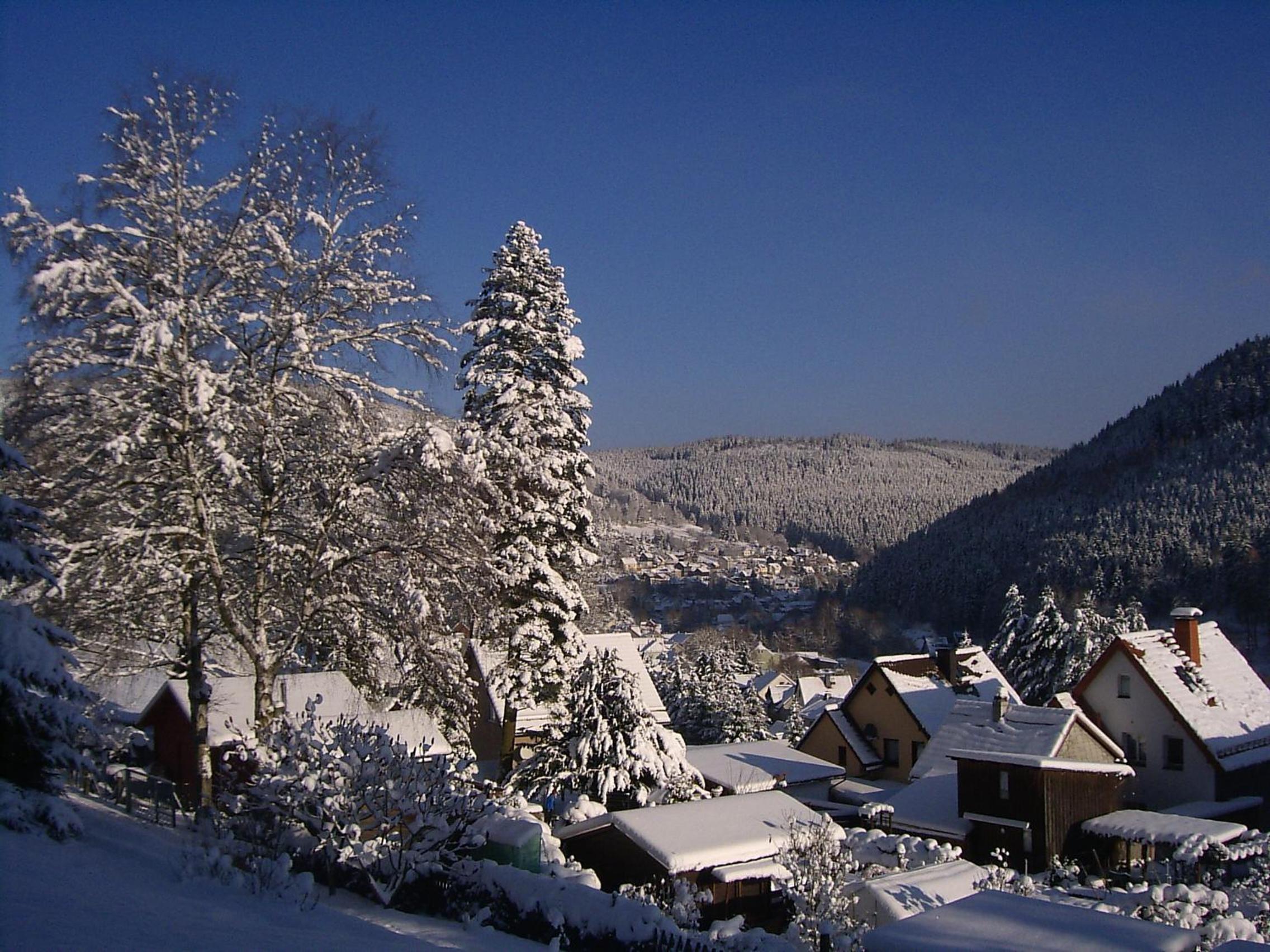 Pension Am Waldesrand