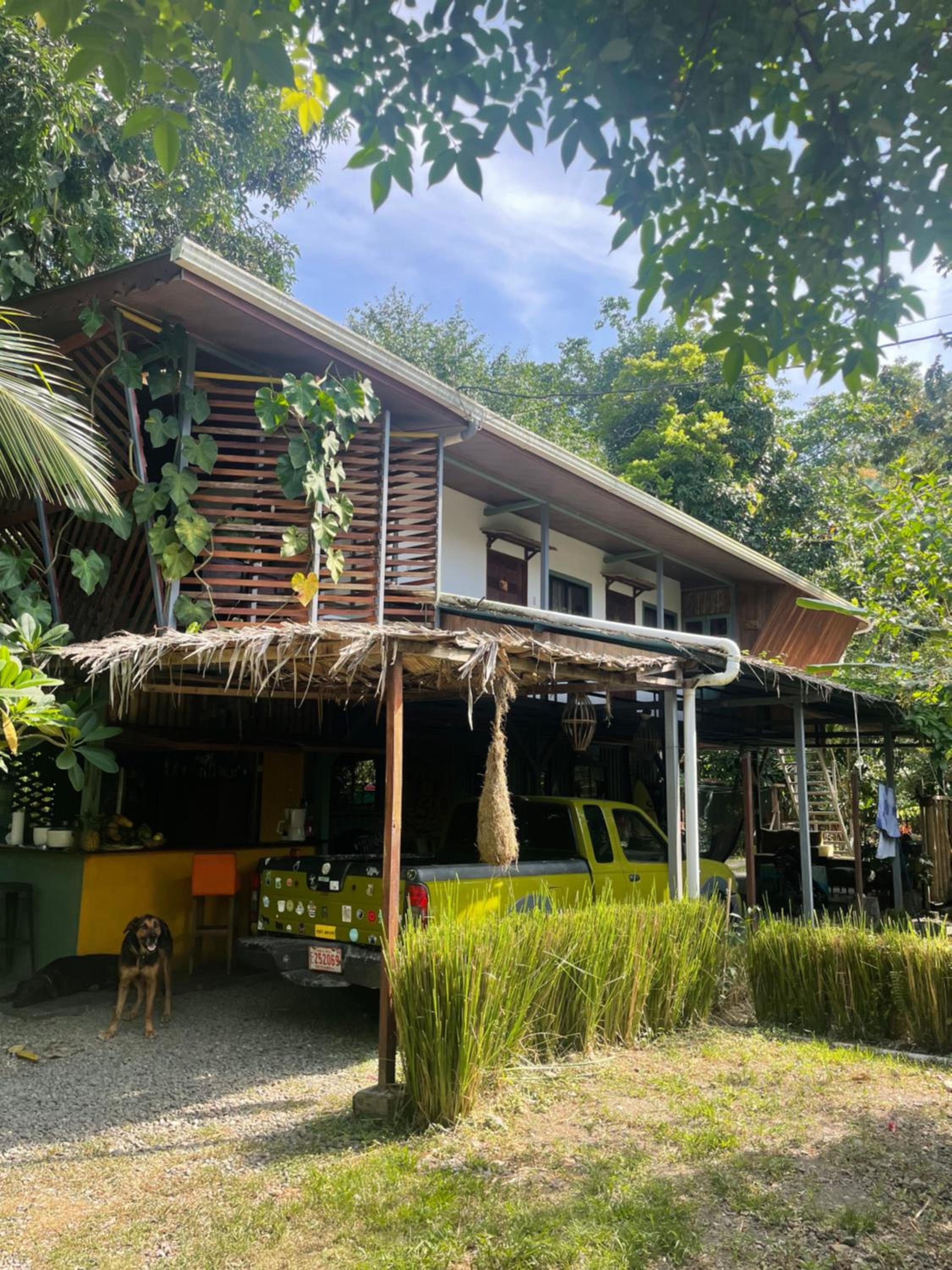 Orgánico Punta Riel