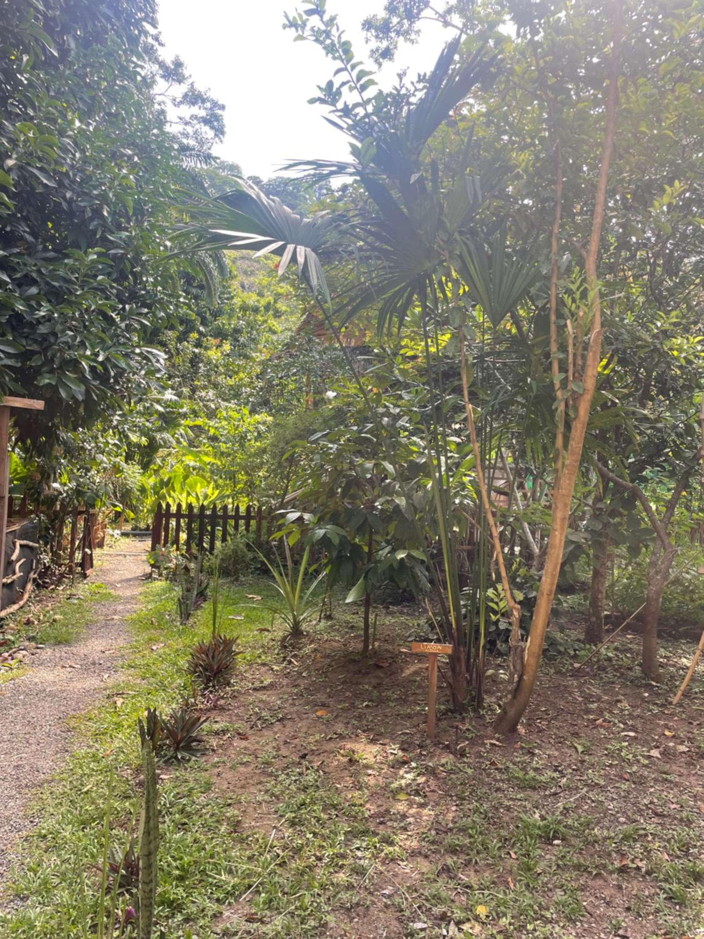 Orgánico Punta Riel