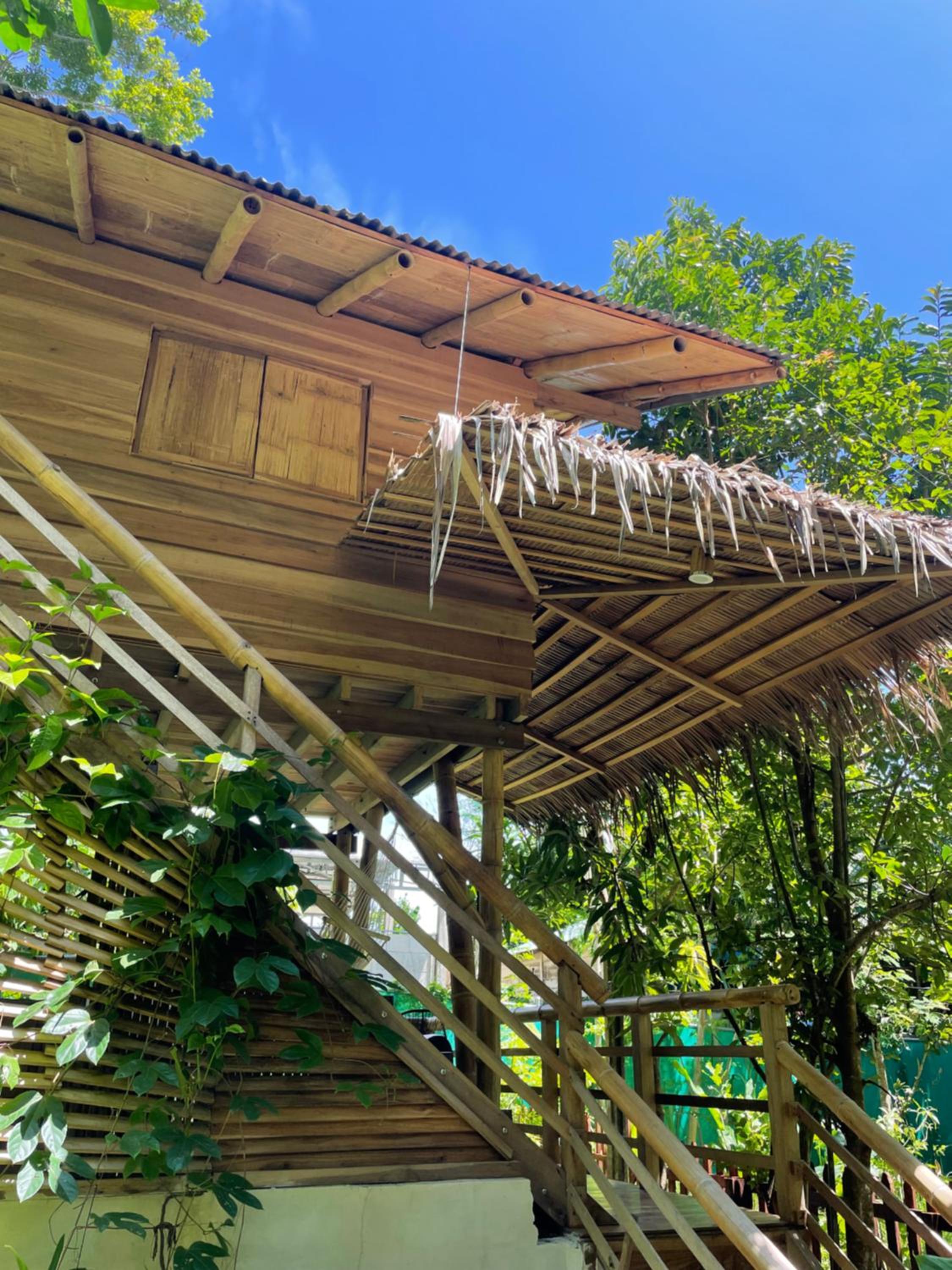 Orgánico Punta Riel