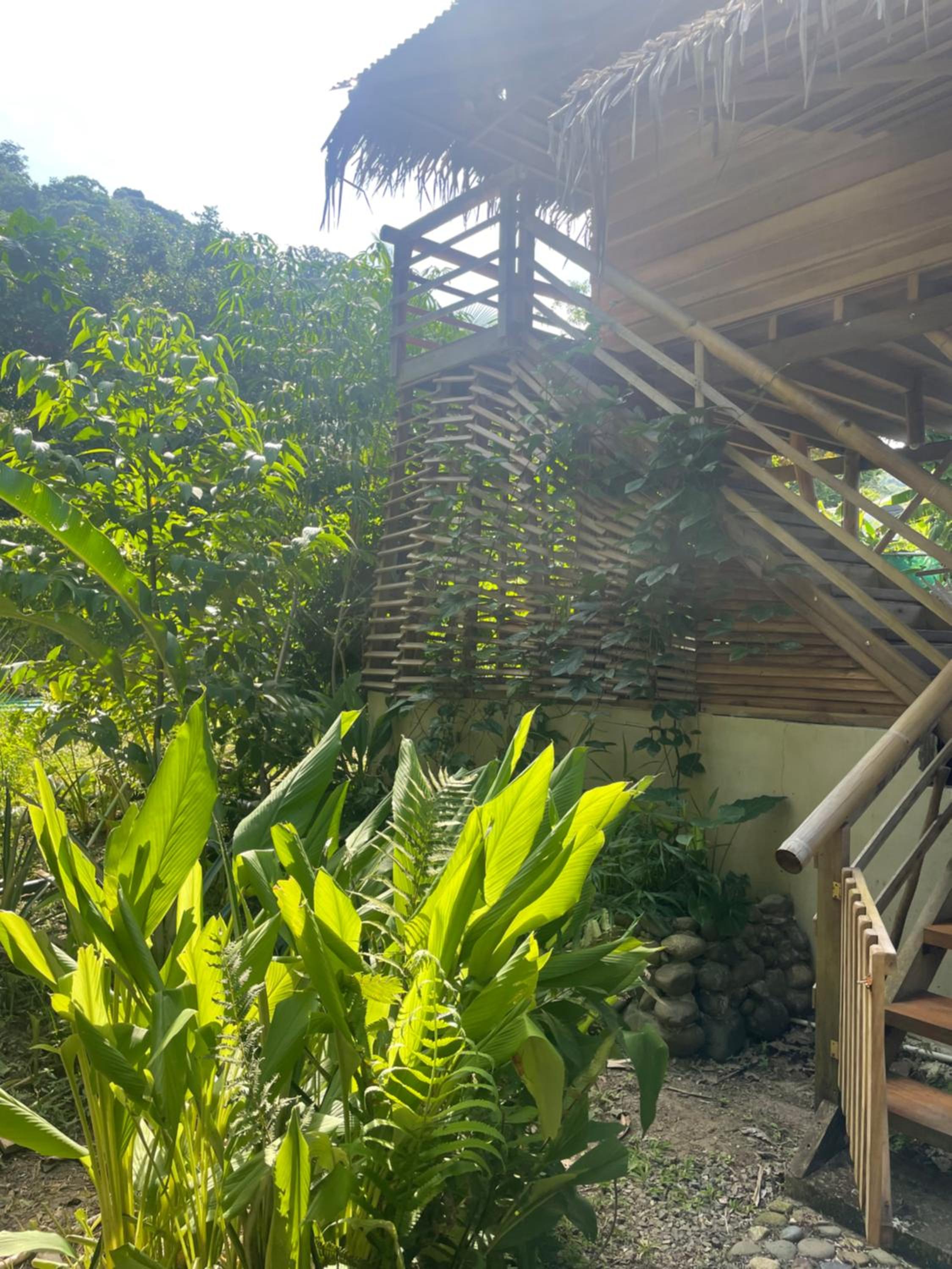Orgánico Punta Riel