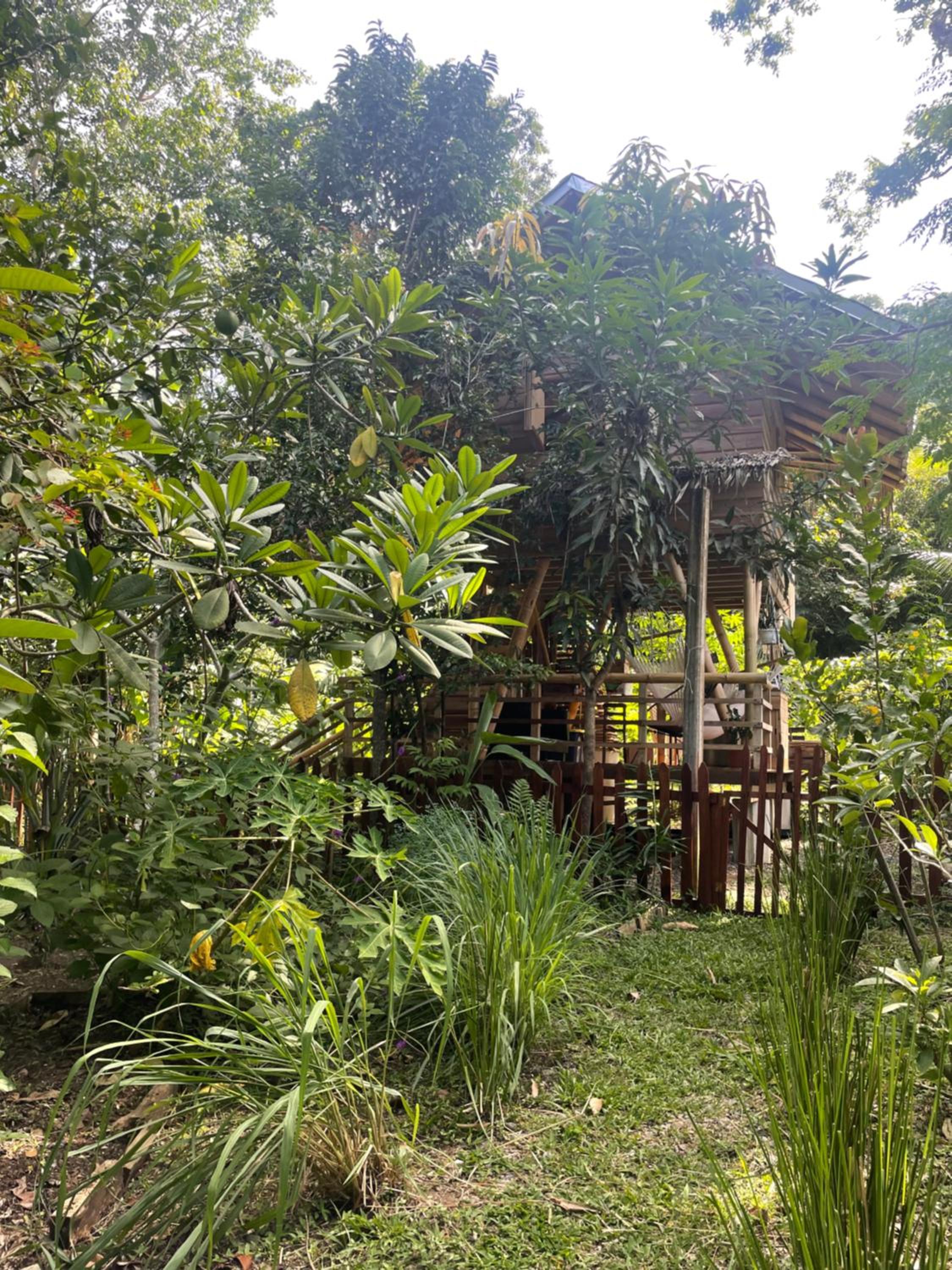 Orgánico Punta Riel