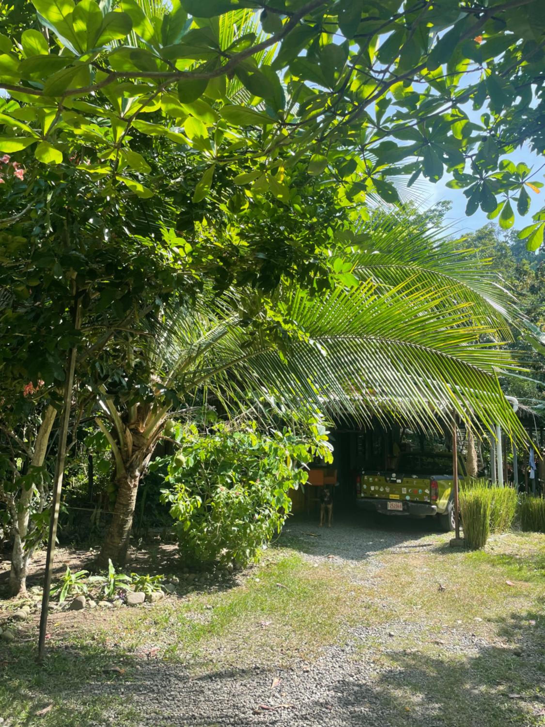 Orgánico Punta Riel