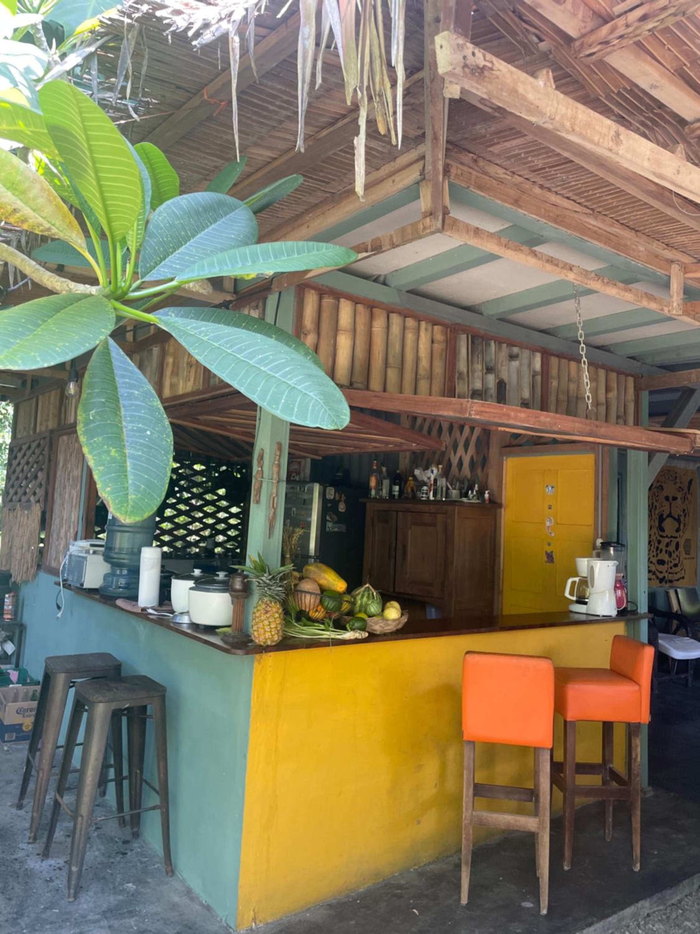 Orgánico Punta Riel