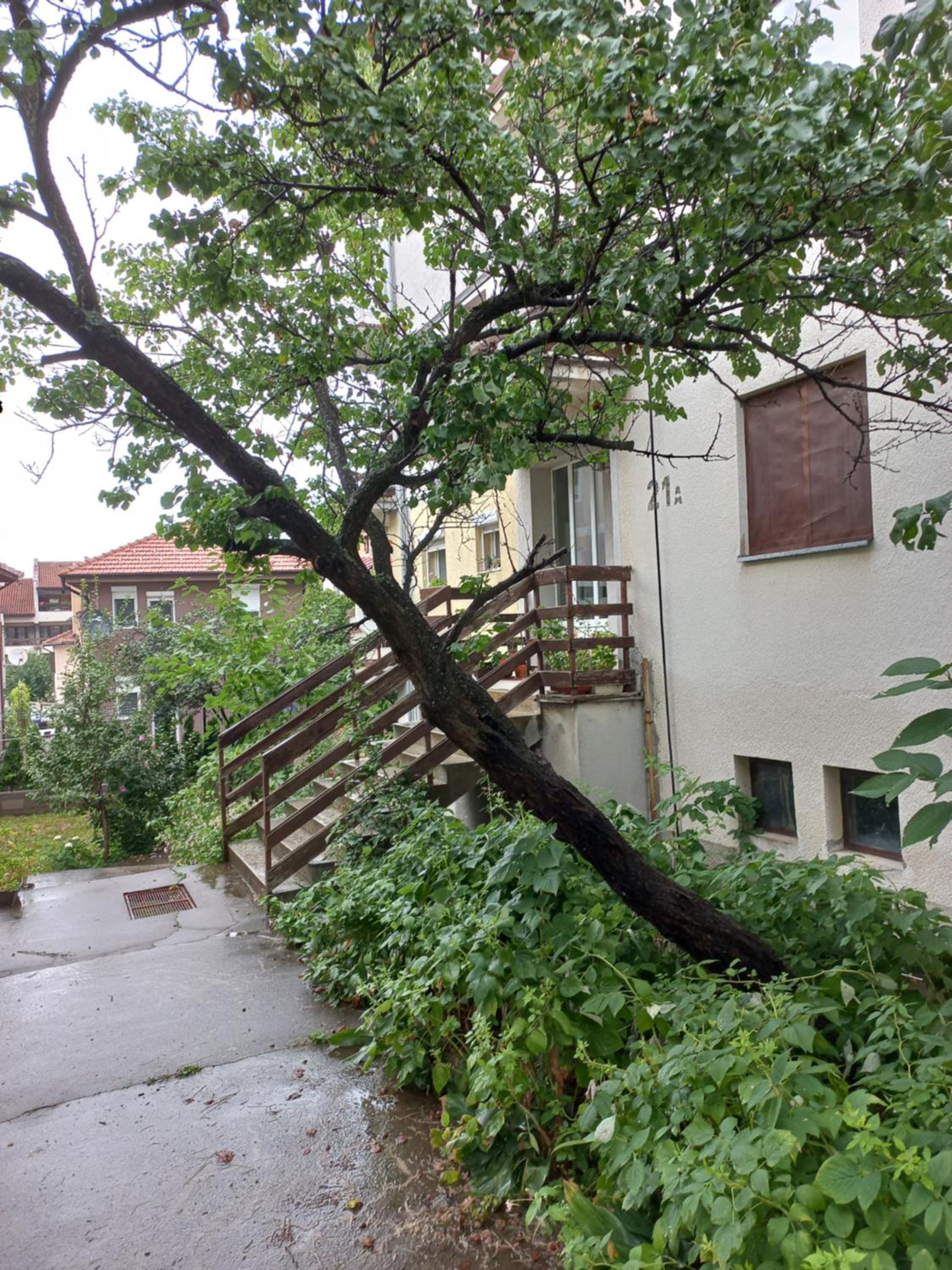 Apartman Milic view 3