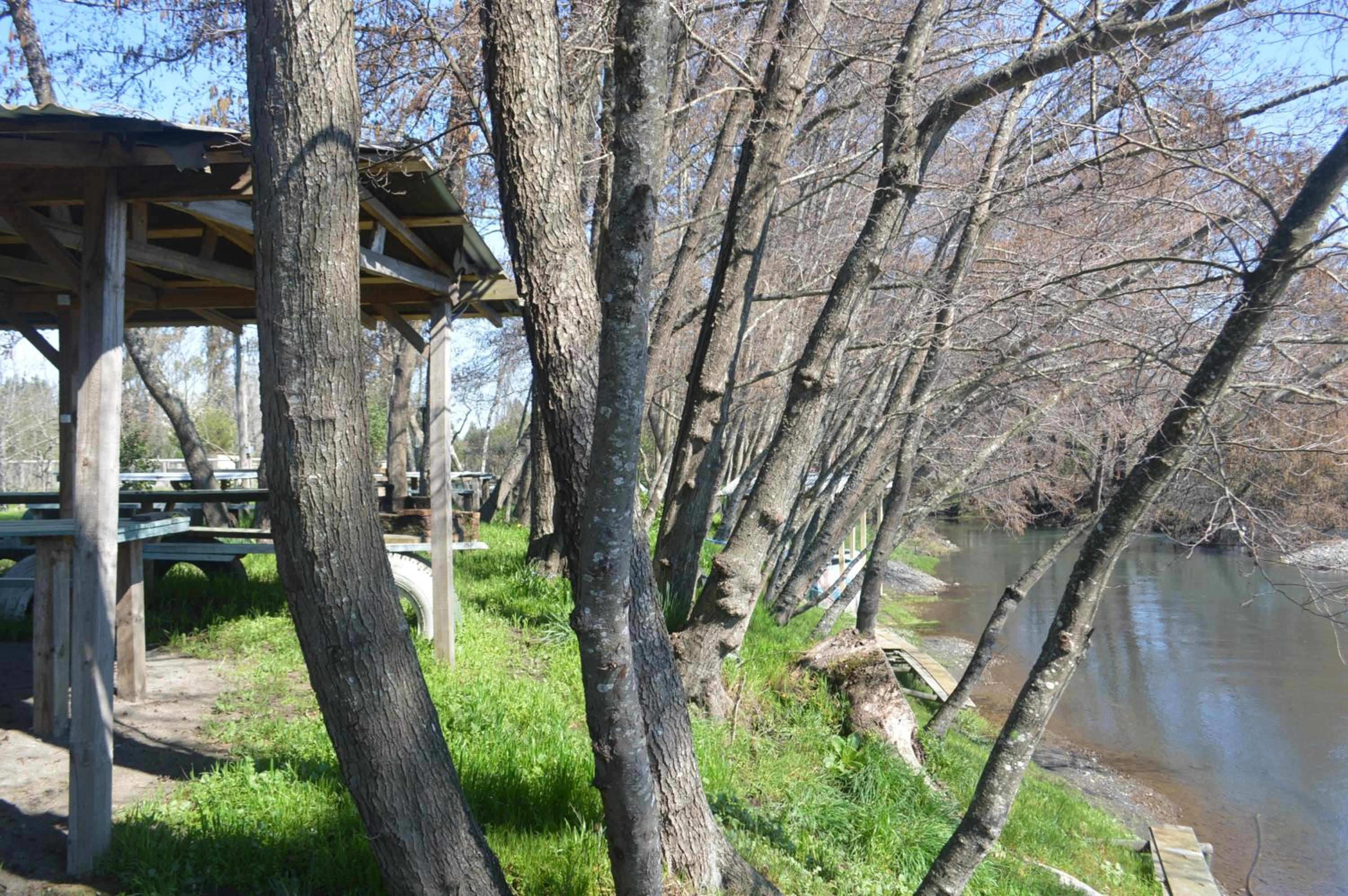Photo 28